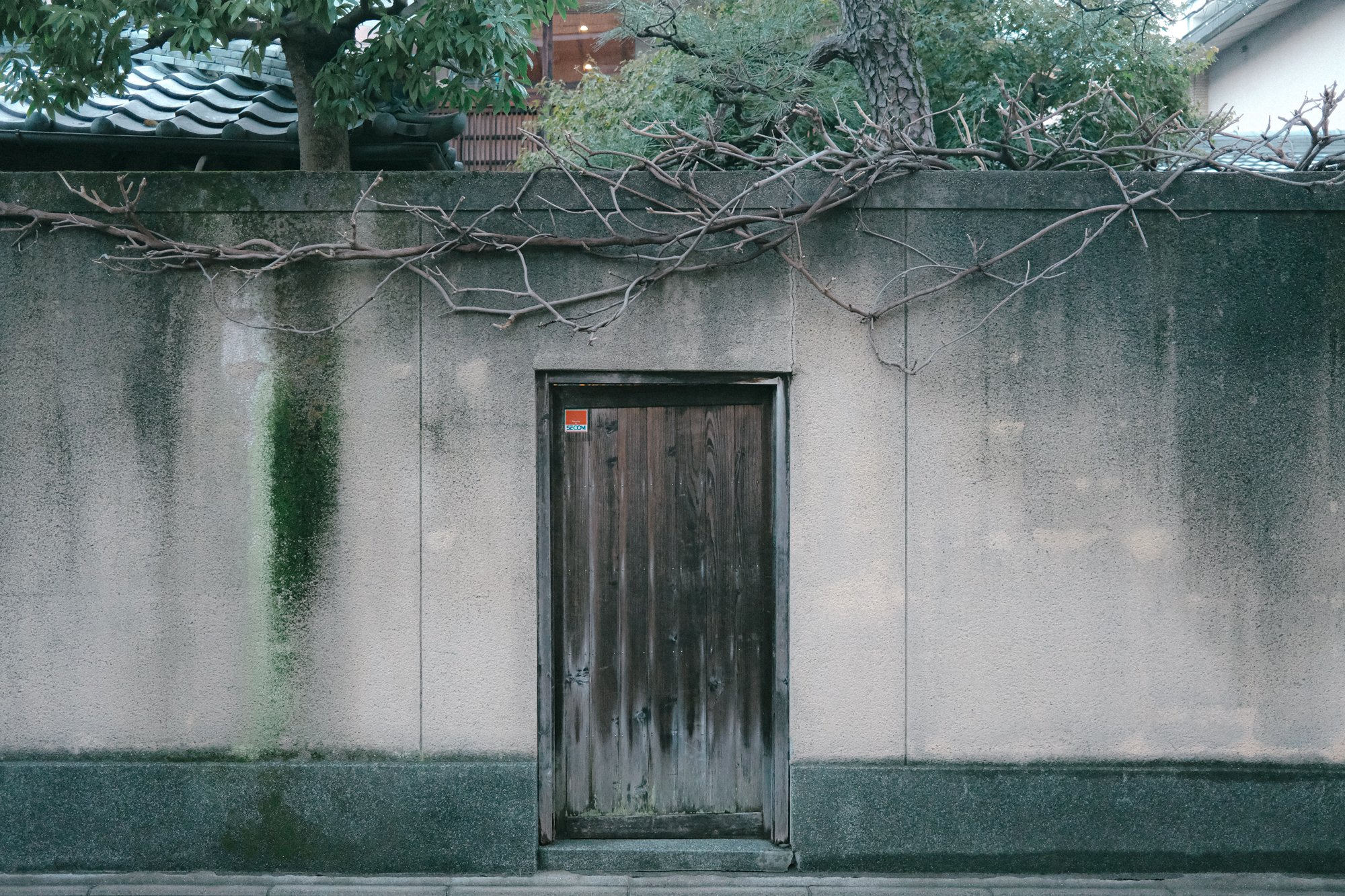 X1003954.jpg