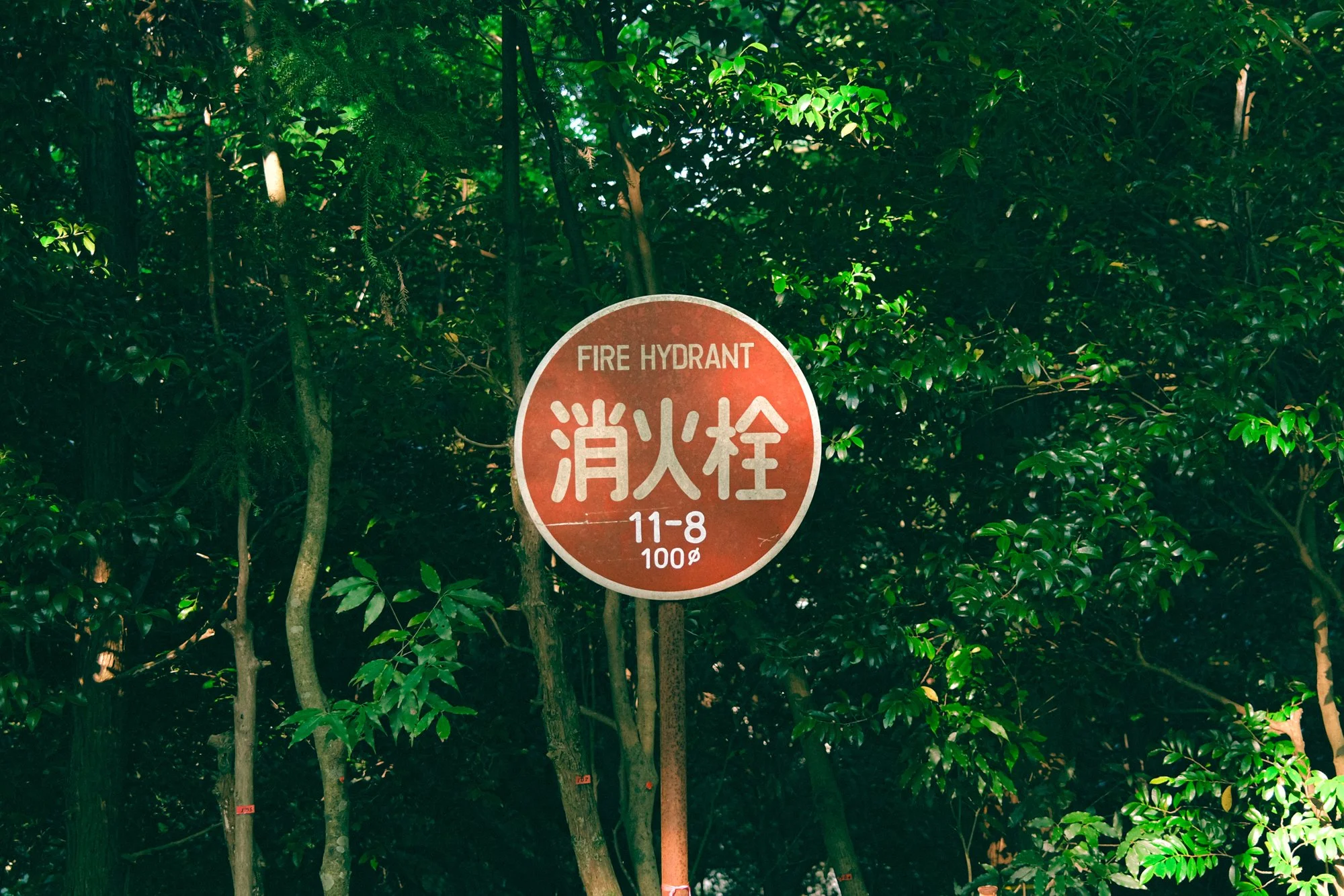 X1003040.jpg