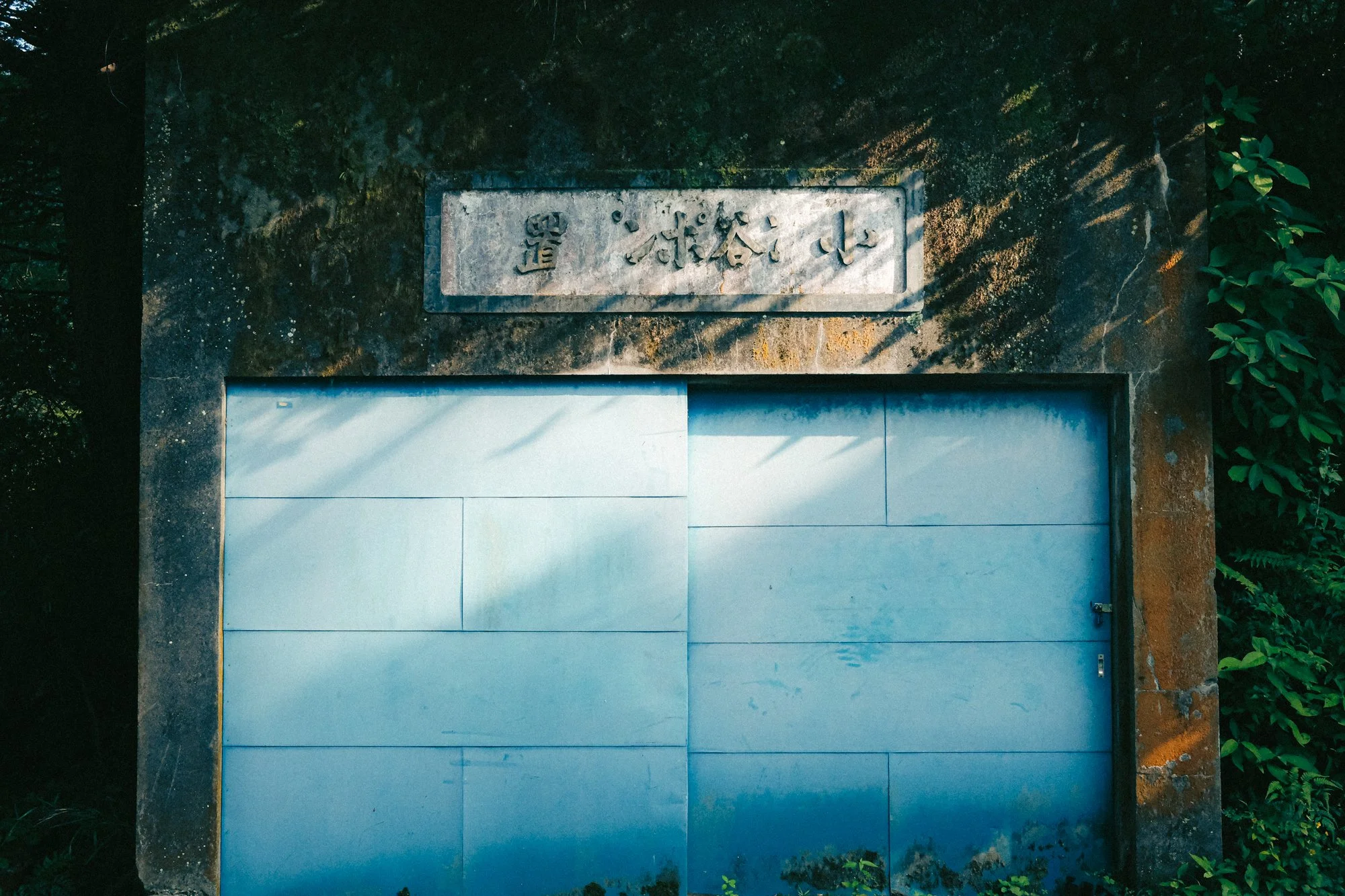 X1002962.jpg