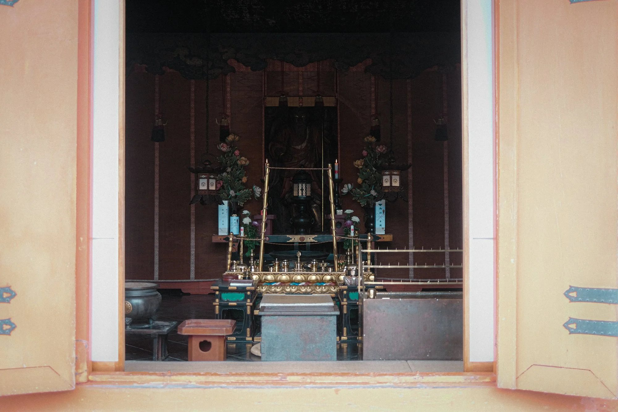 X1002011.jpg