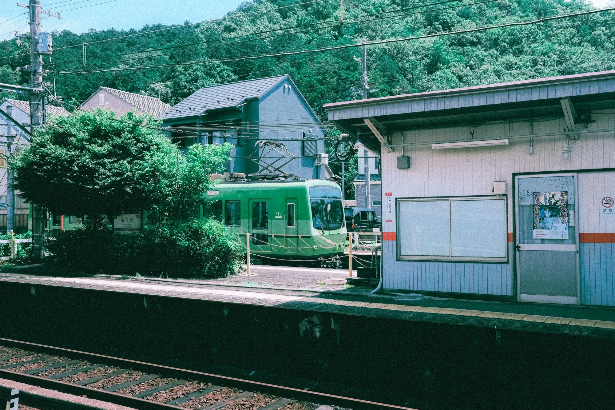 X1001811.jpg