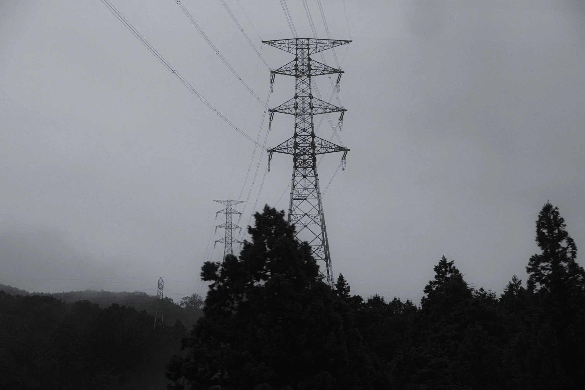 XT506818.jpg