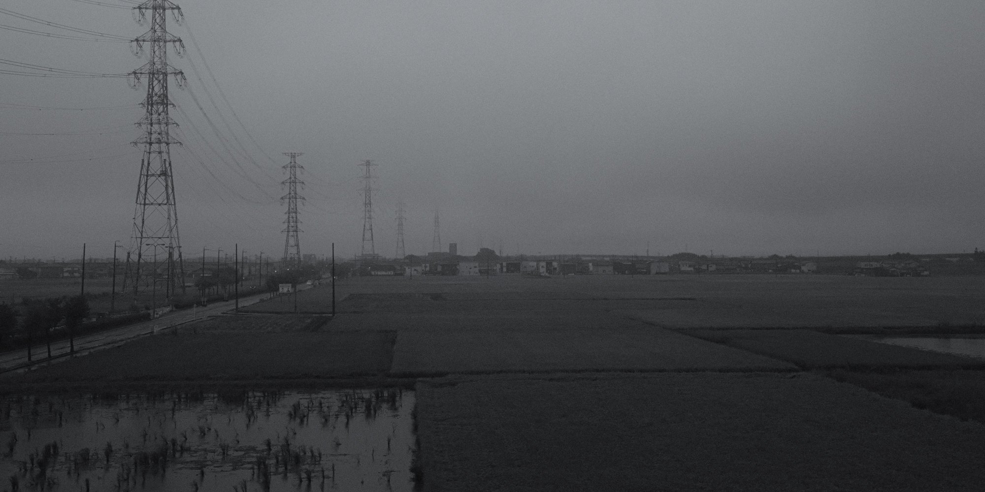 XT506791.jpg