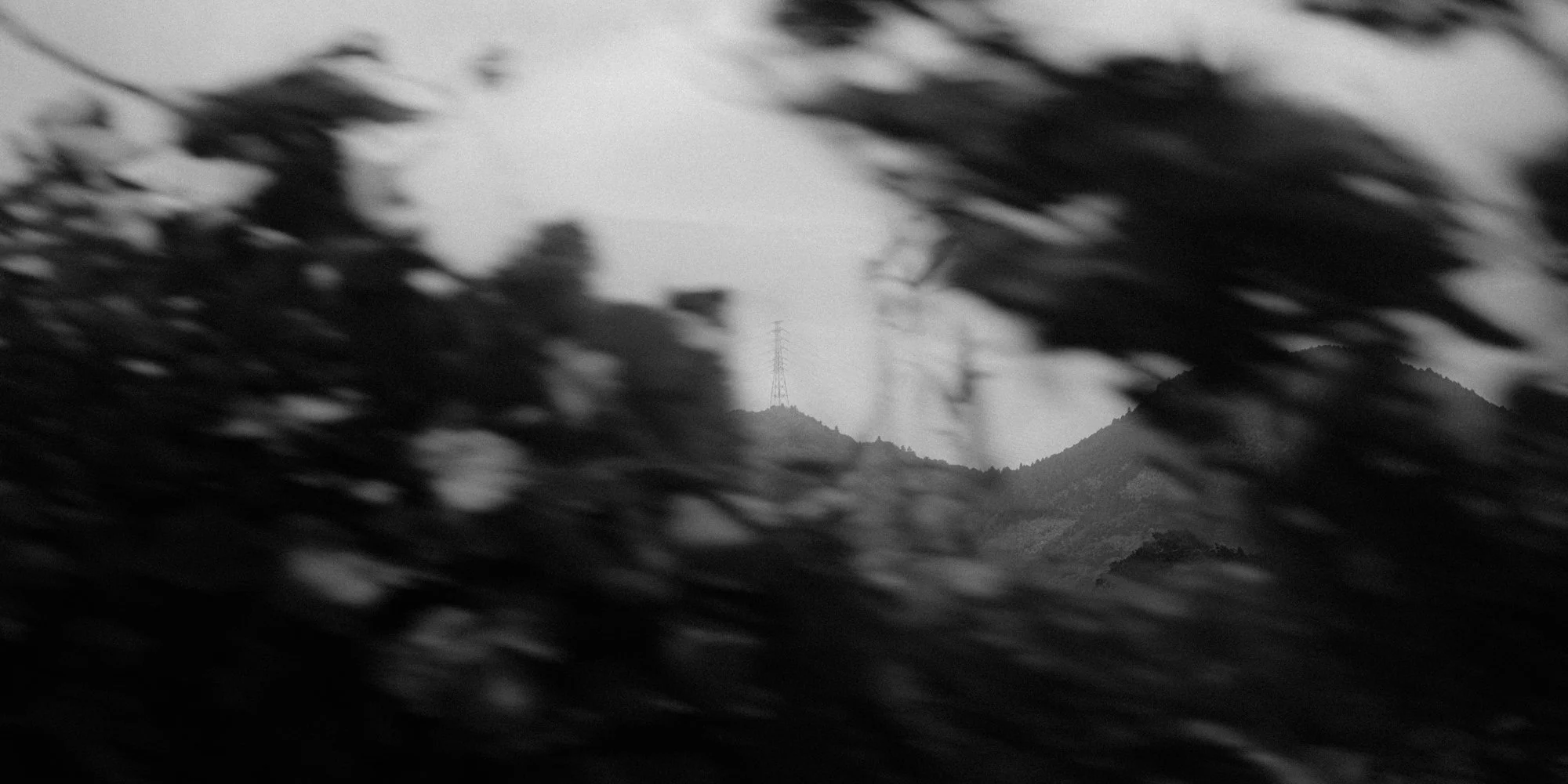 XT505352.jpg