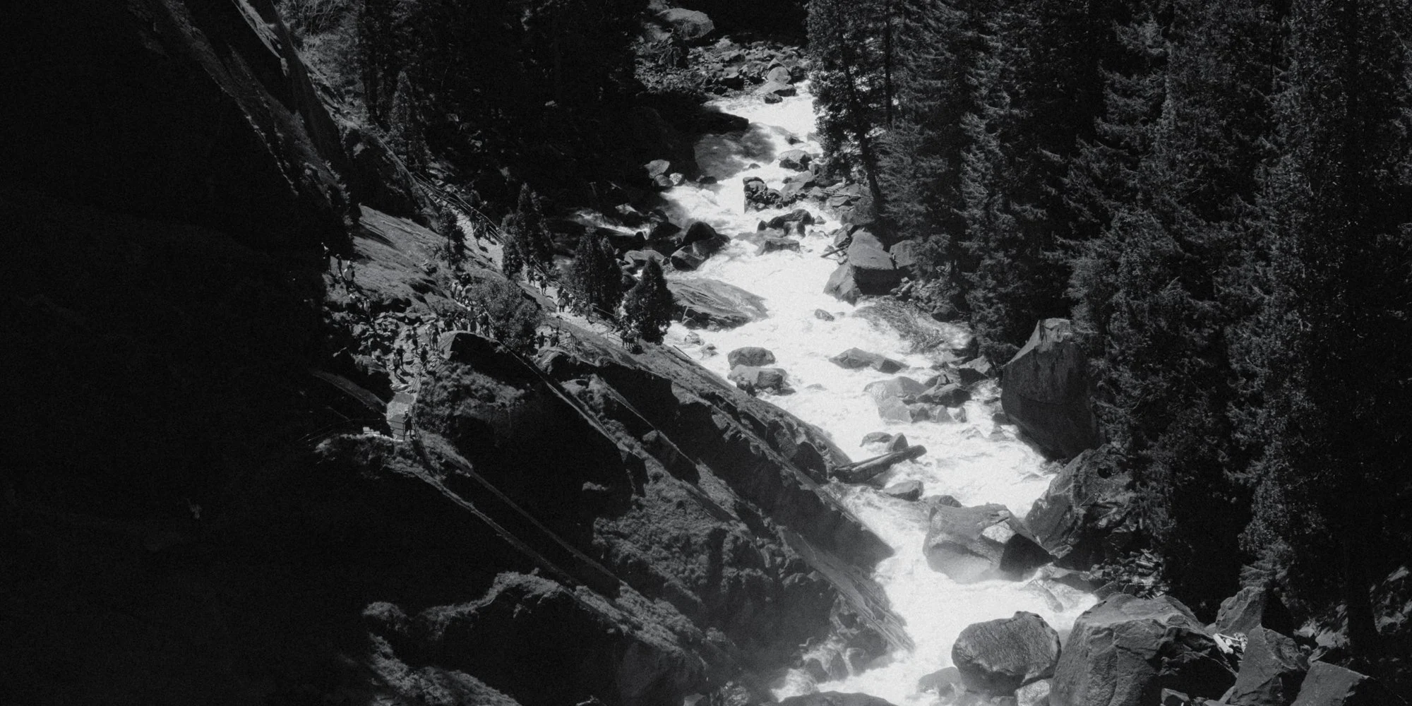 XT504772.jpg