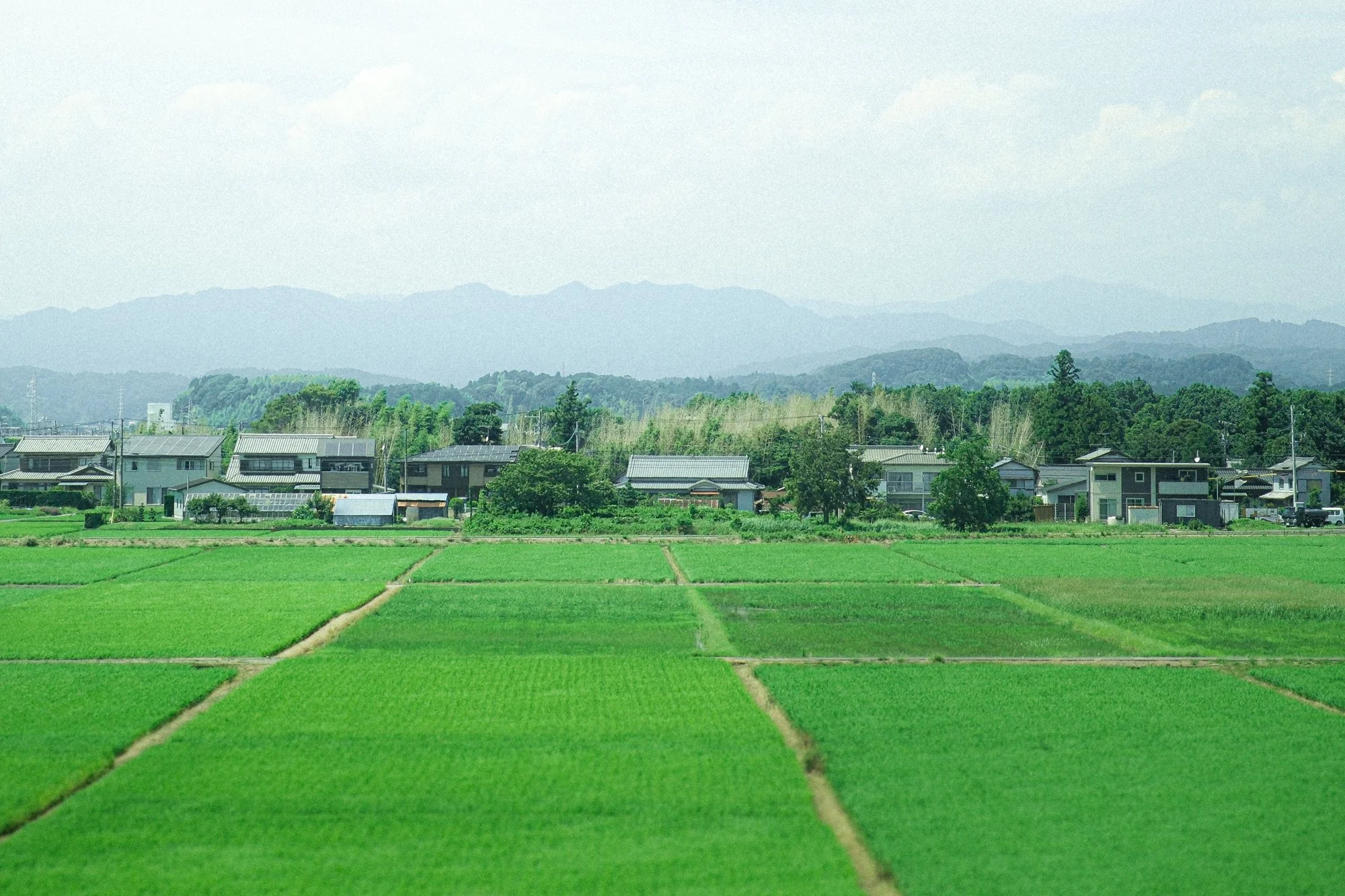 XT505332.jpg