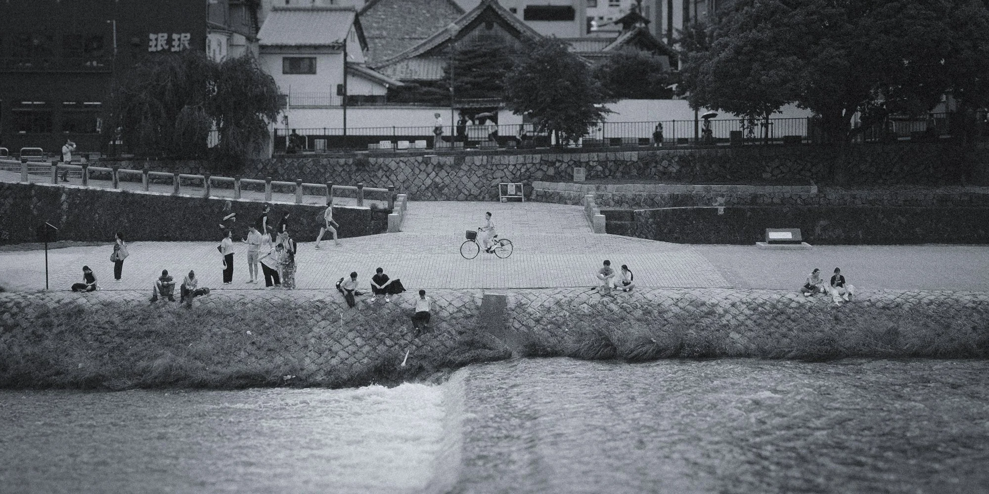 X1002291.jpg