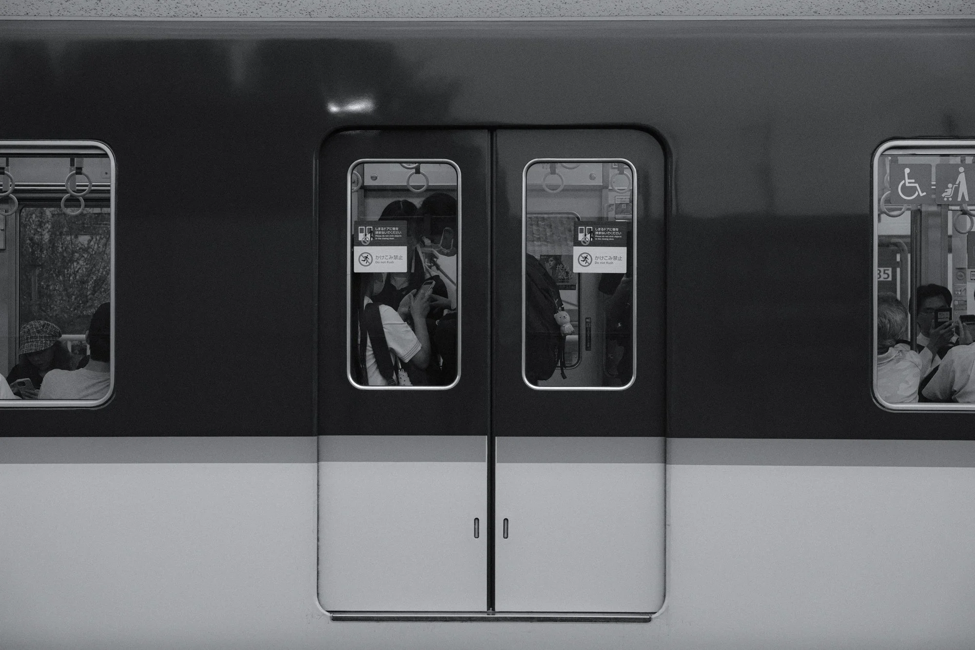XT508517.jpg