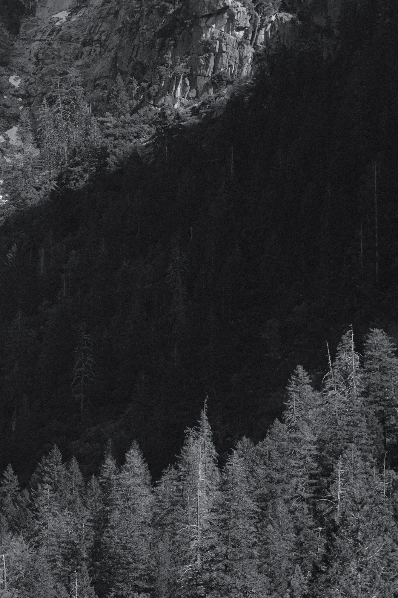 XT503974.jpg