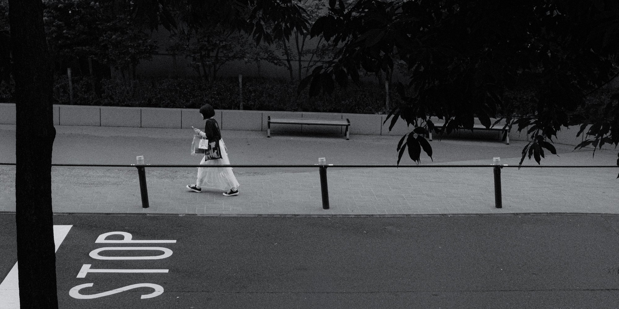 X1003766.jpg
