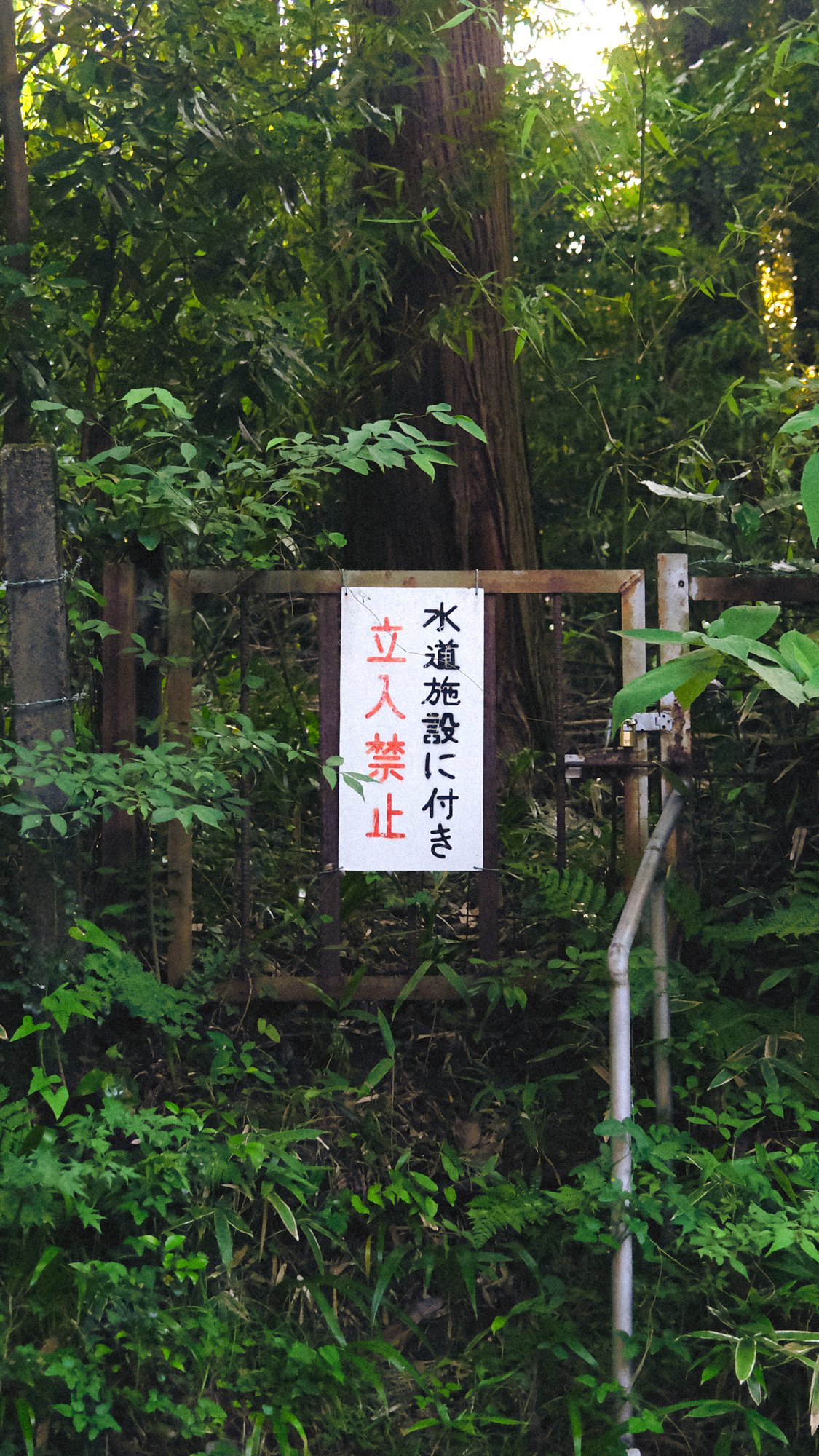 X1003046-2.jpg