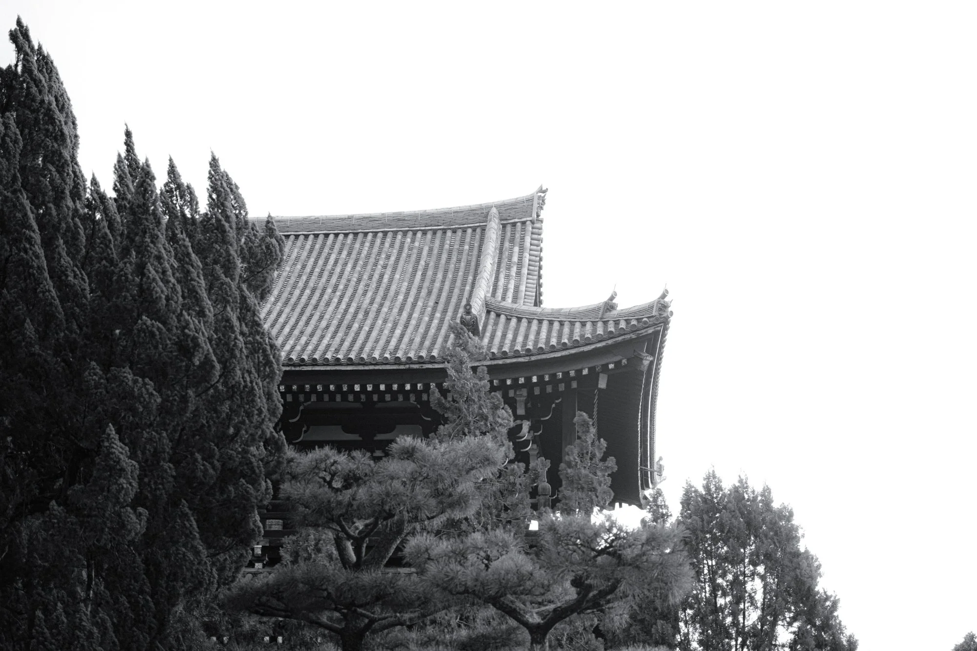 XT508381.jpg
