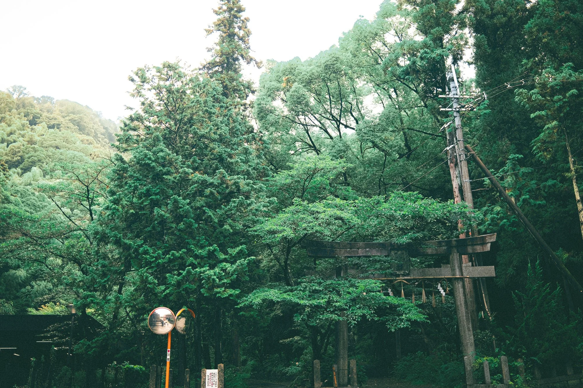 X1001679.jpg
