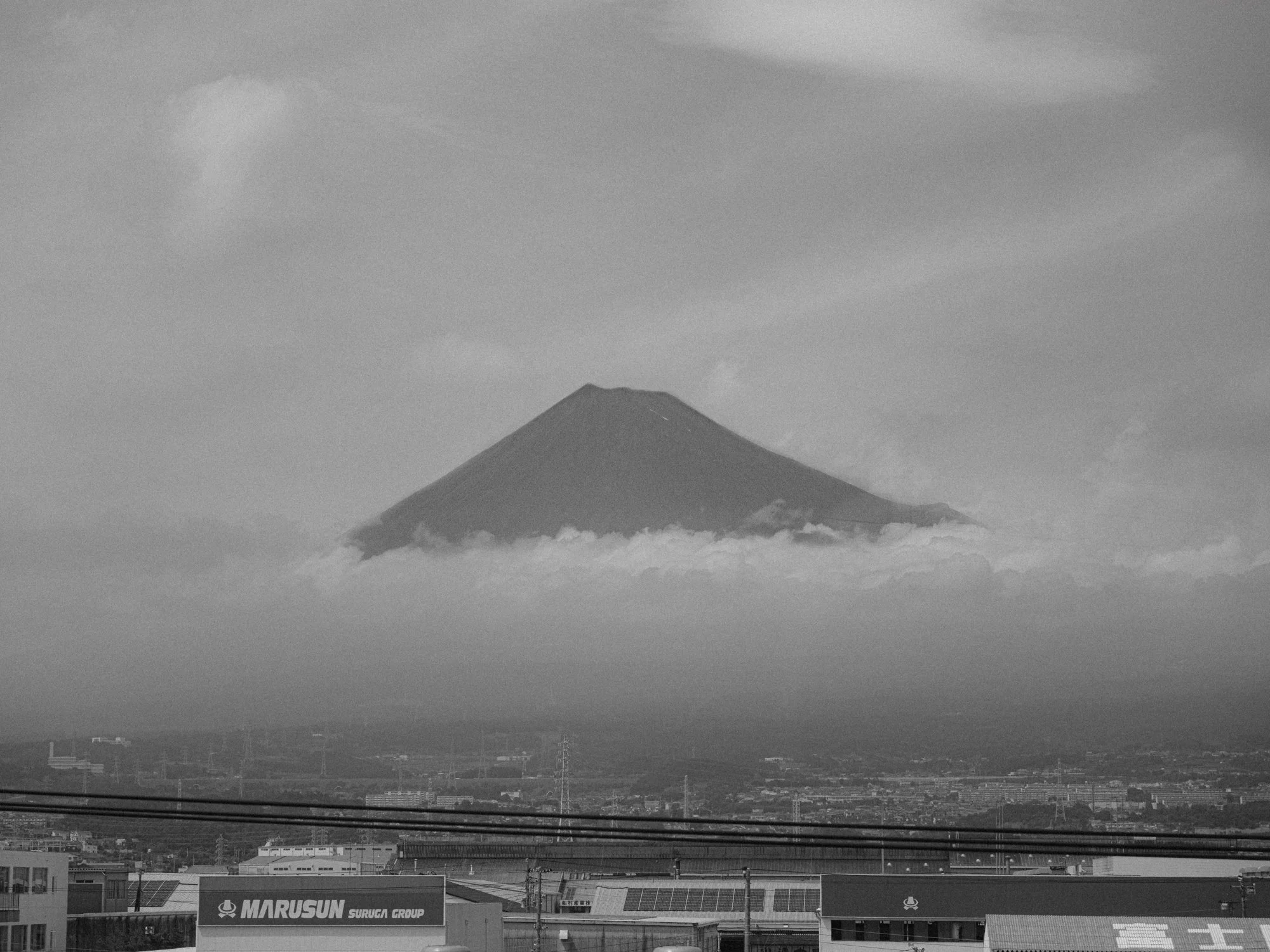 XT505376.jpg