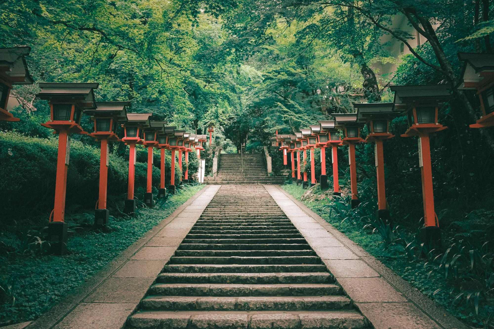 X1001871.jpg