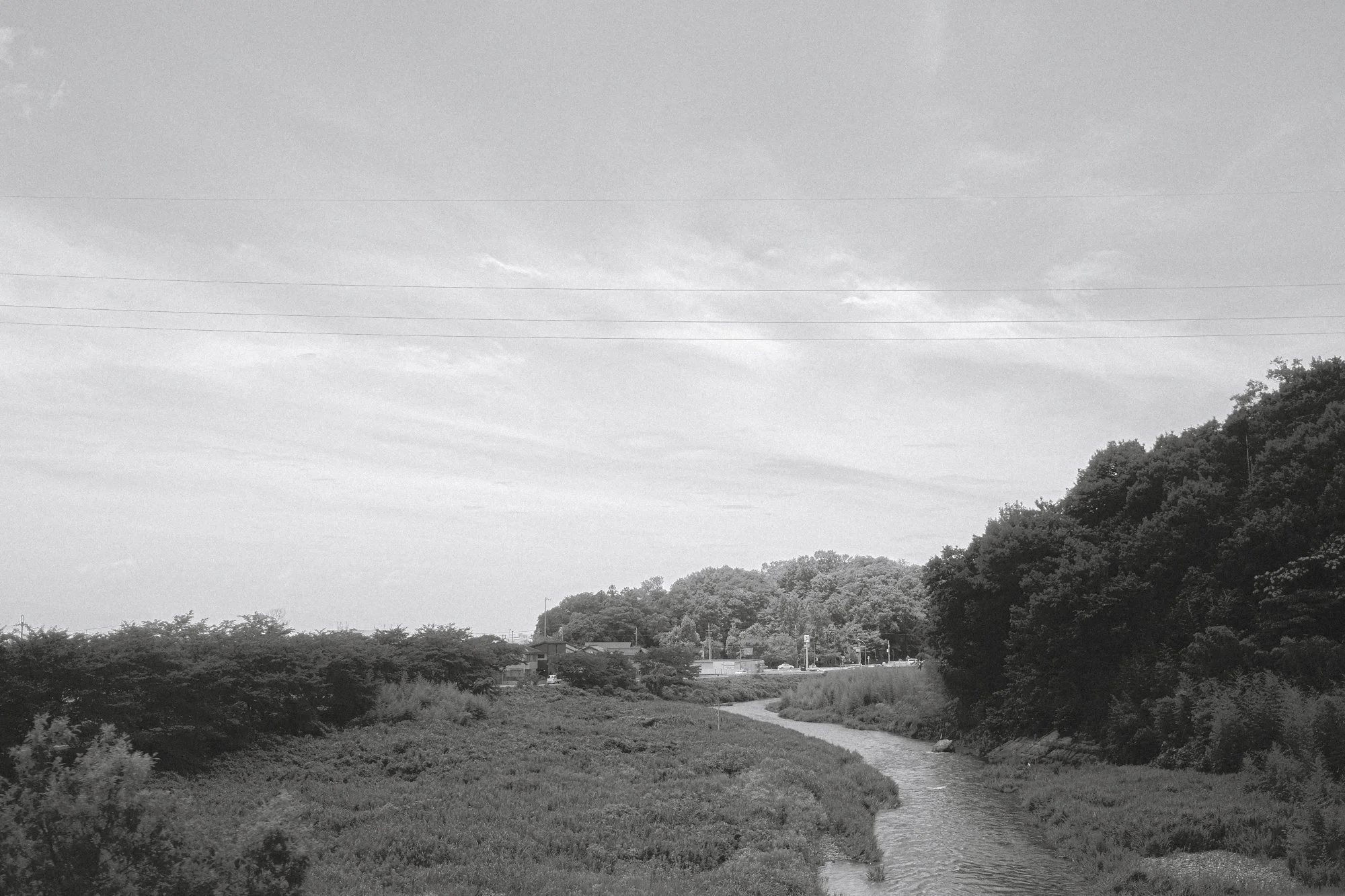 X1002483.jpg