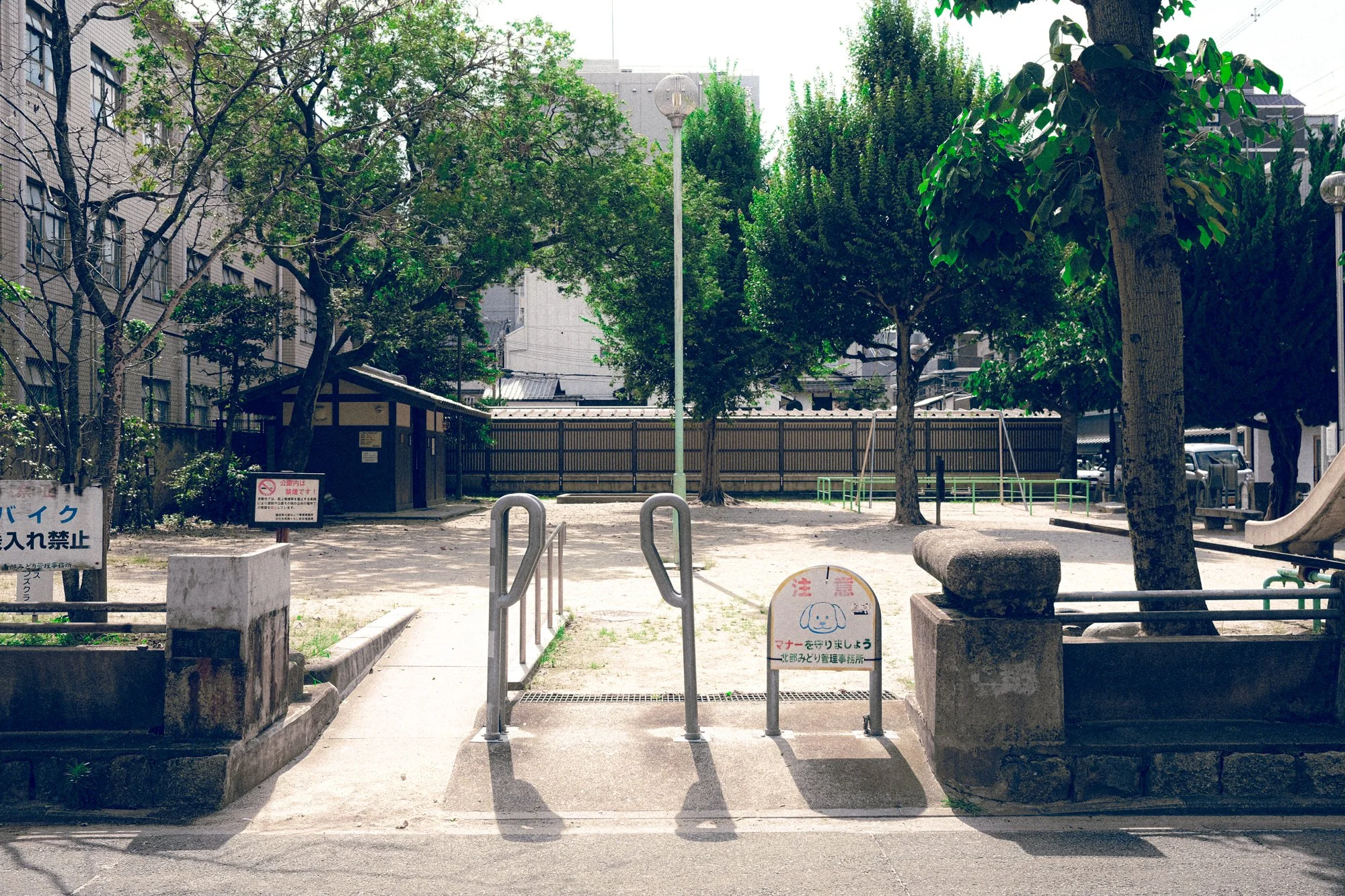 X1002320.jpg