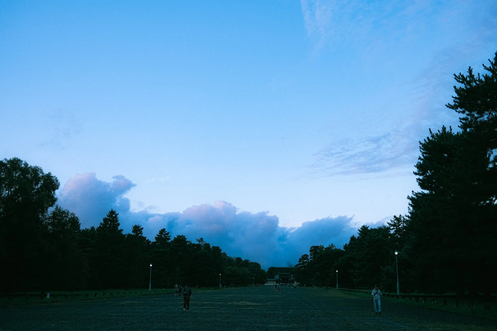 X1003951.jpg