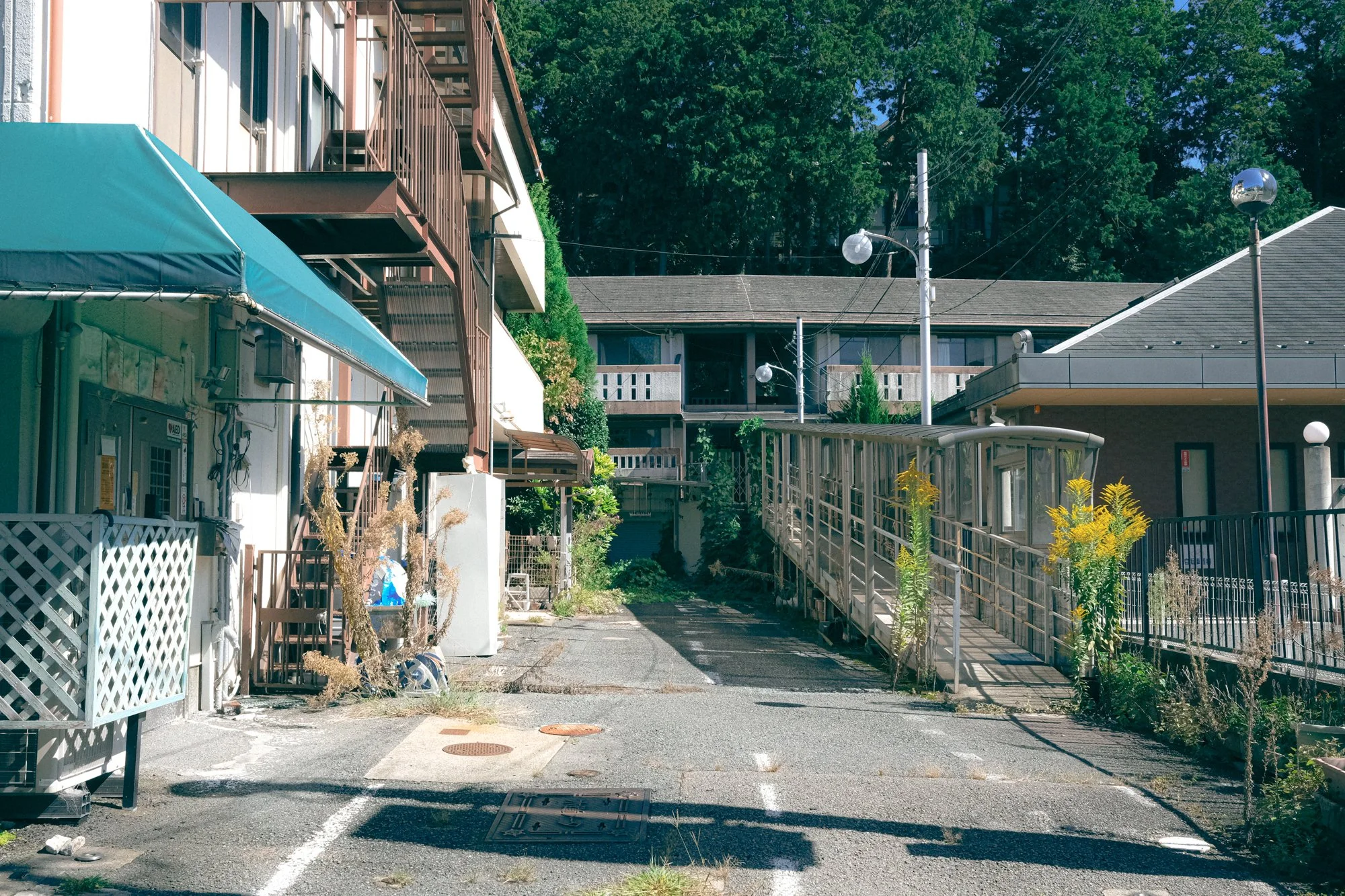 X1004166.jpg