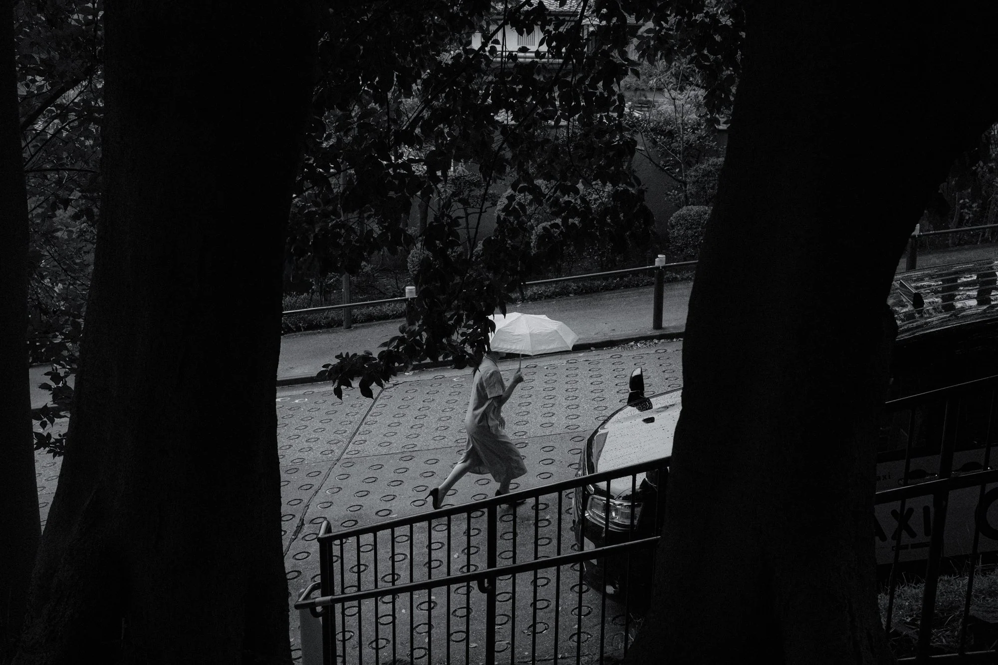X1003785.jpg