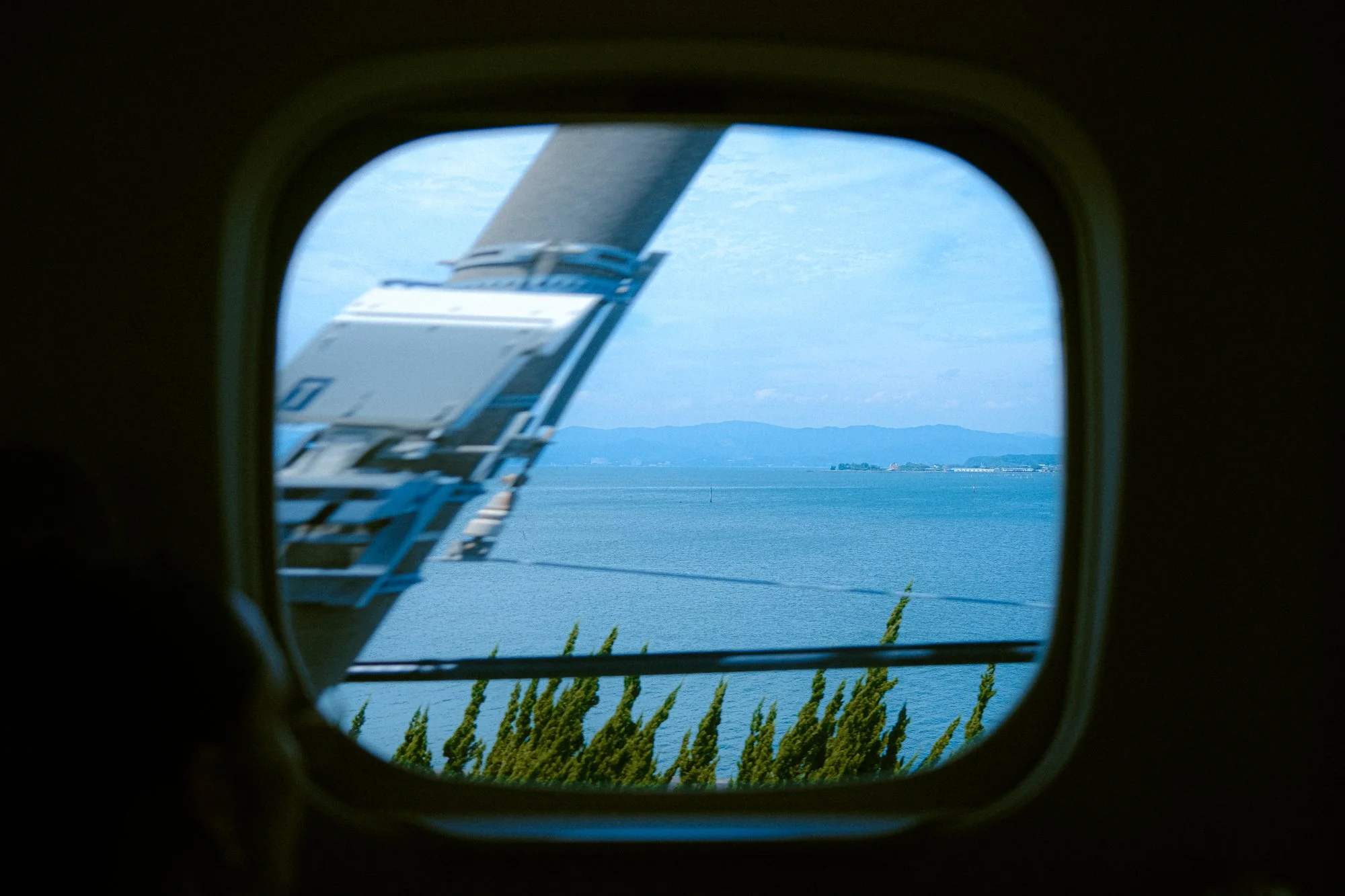 X1002564.jpg