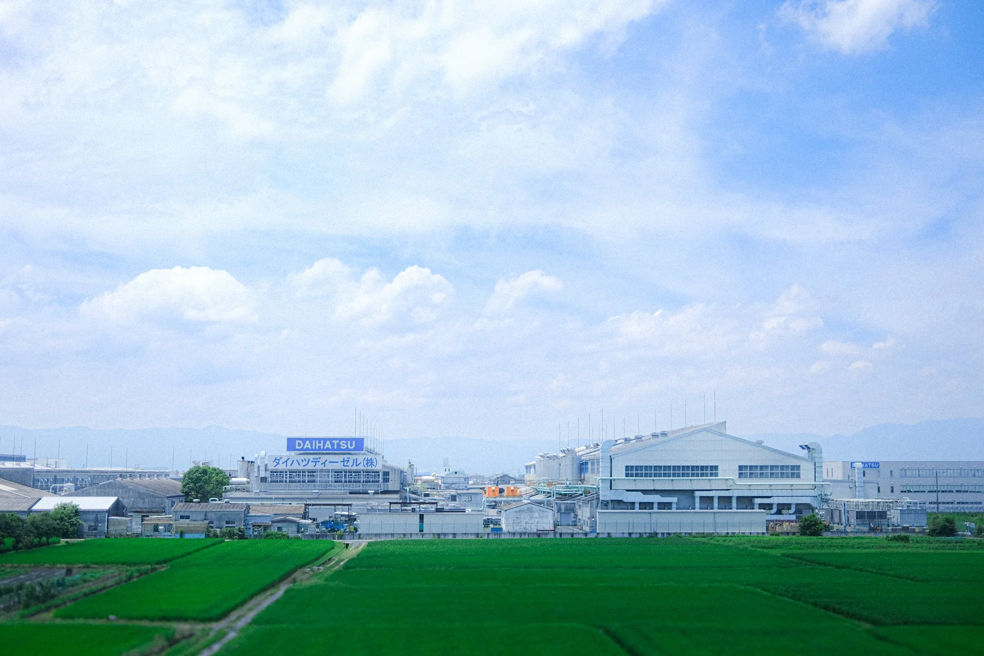 X1002472.jpg
