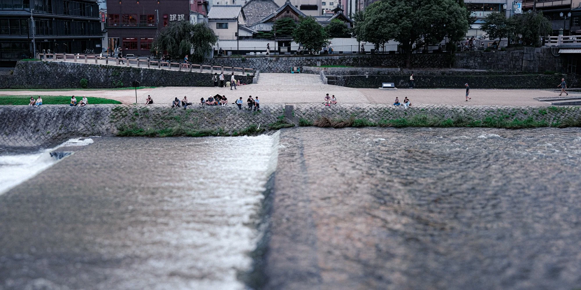 X1002272.jpg