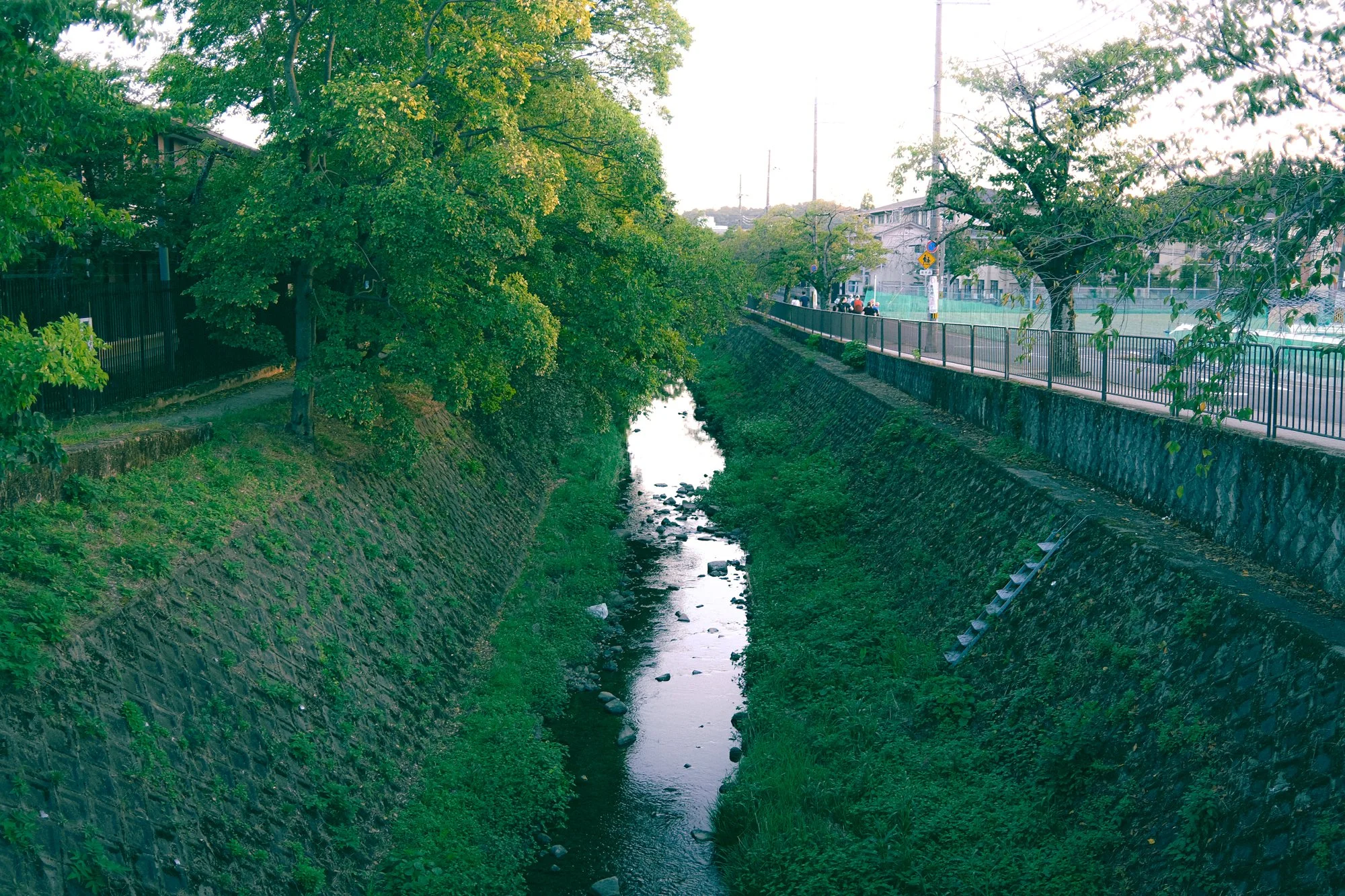 X1004655.jpg