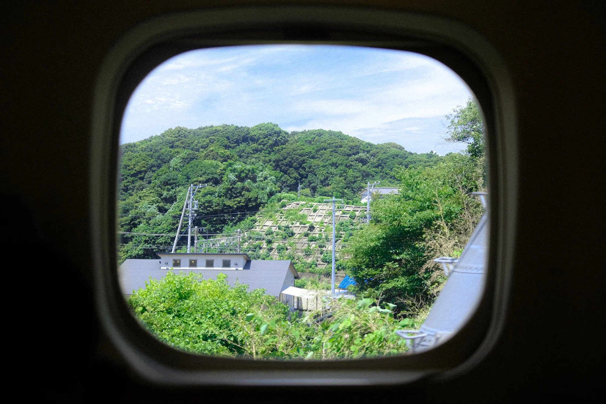 X1002557.jpg