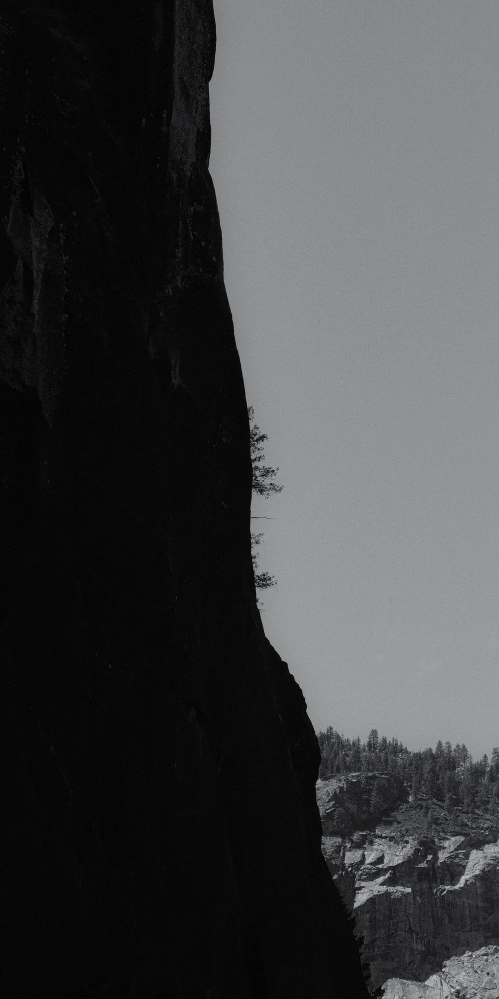 XT504521.jpg