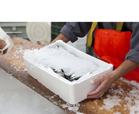 Frozen Foods Online 3.png