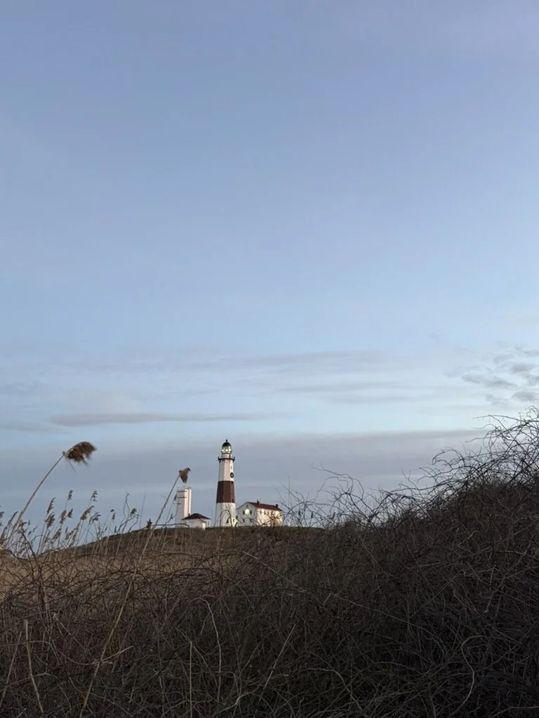 A lighthouse on a hill with dry bushes in the foreground and a sky with clouds above.