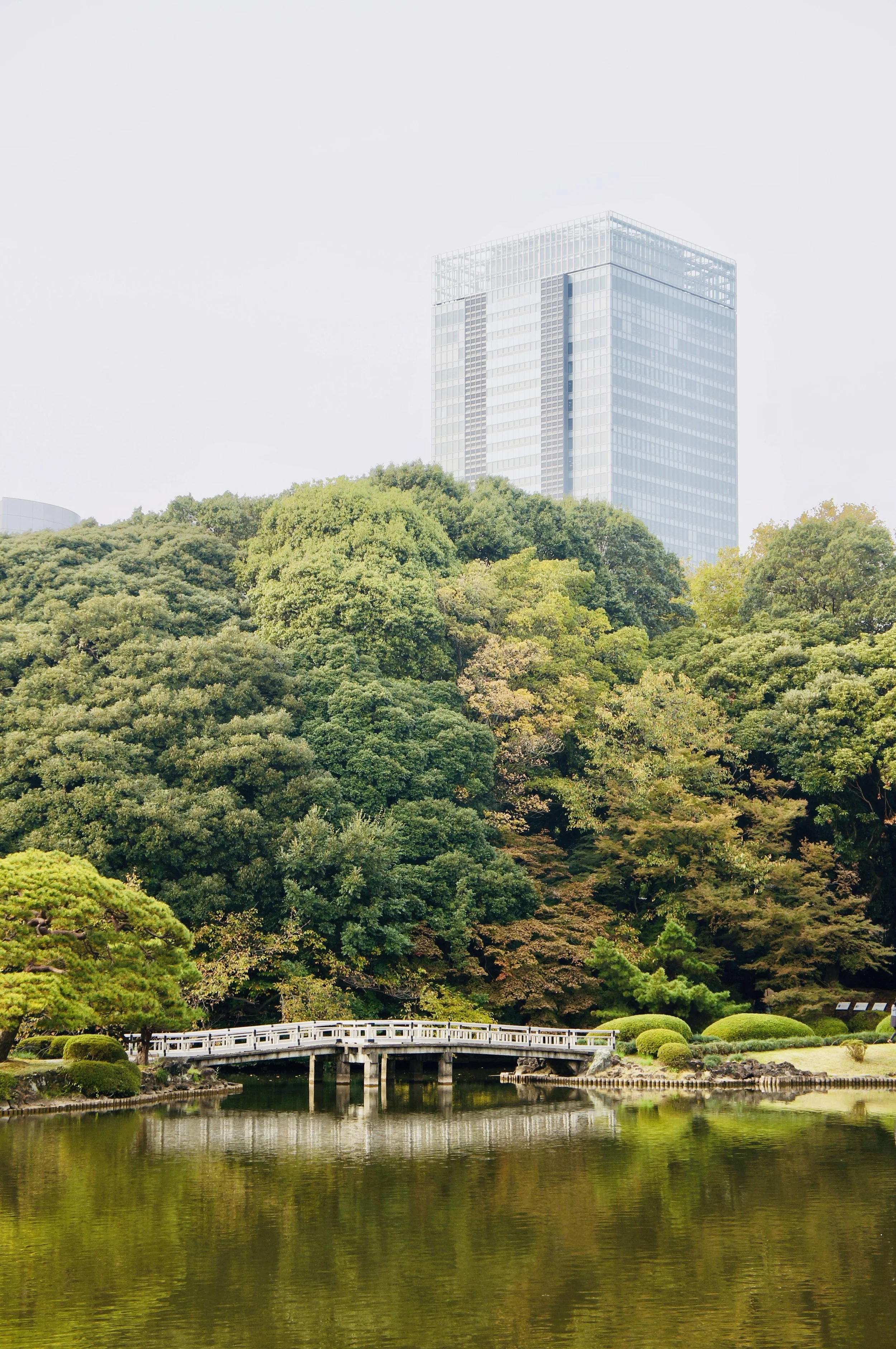 A scenic view of lush green trees and a traditional Japanese bridge over a pond, with a modern high-rise building in the background.