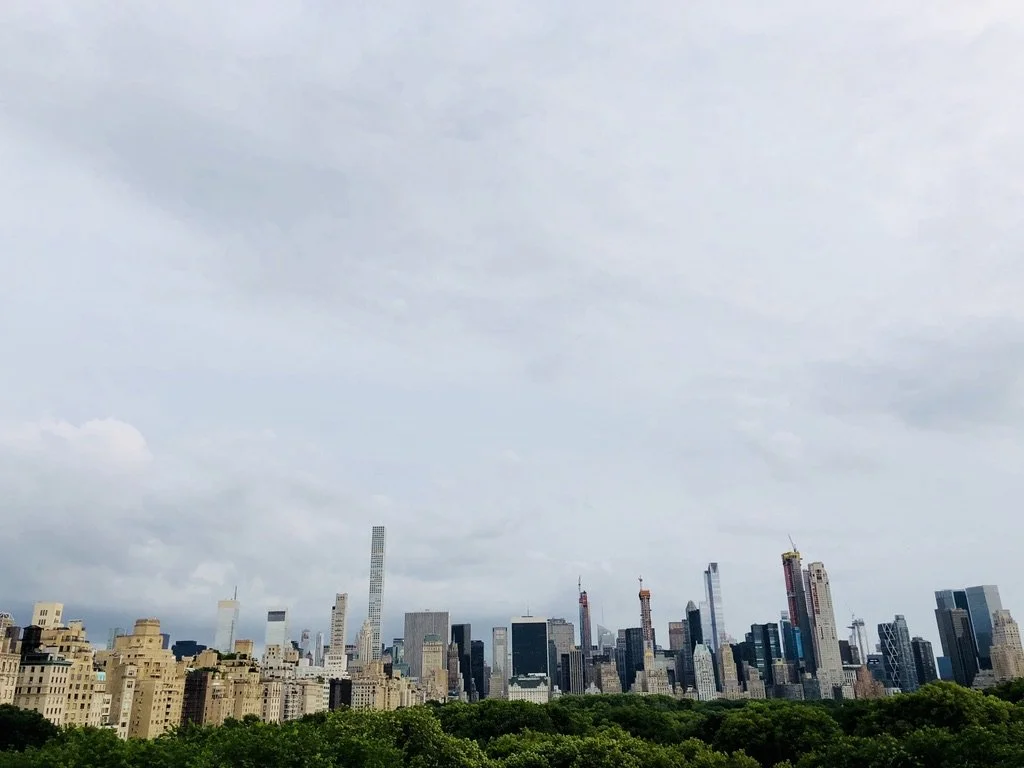 A city skyline with numerous tall buildings and skyscrapers, with a park or green area with trees in the foreground, under a cloudy sky.