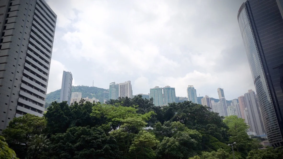 C8A48370-ED3D-48E8-92D5-3047AE4DE23B_1_105_c.jpeg