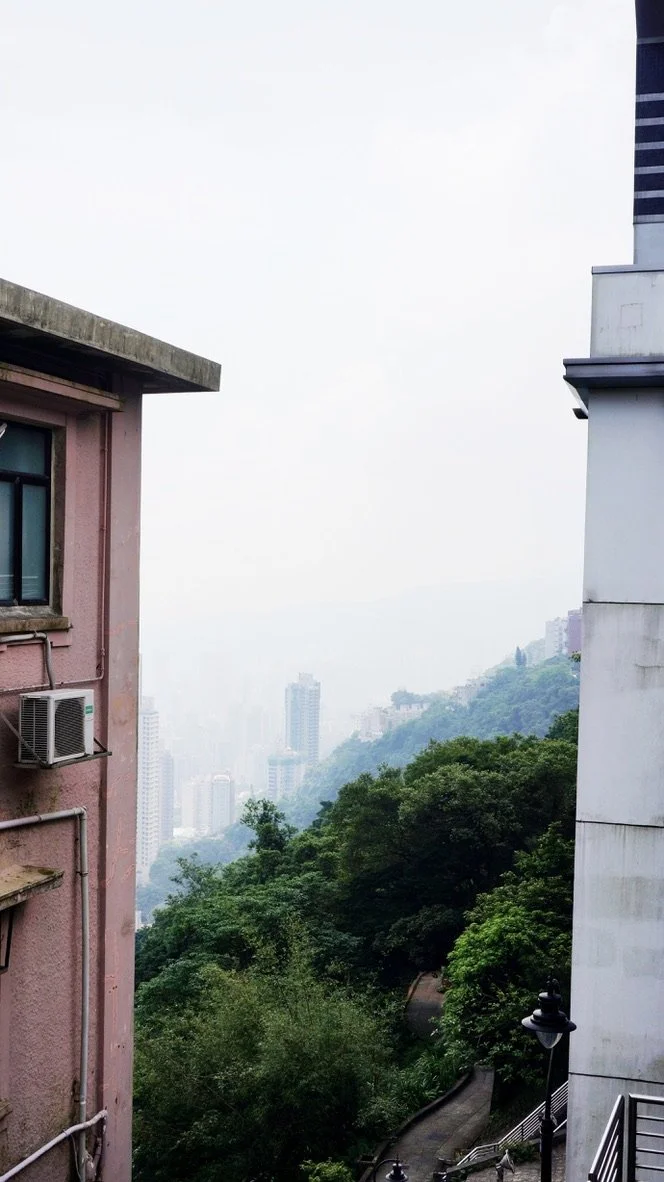 Buildings overlooking a lush, green hillside with a winding path in Hong Kong
