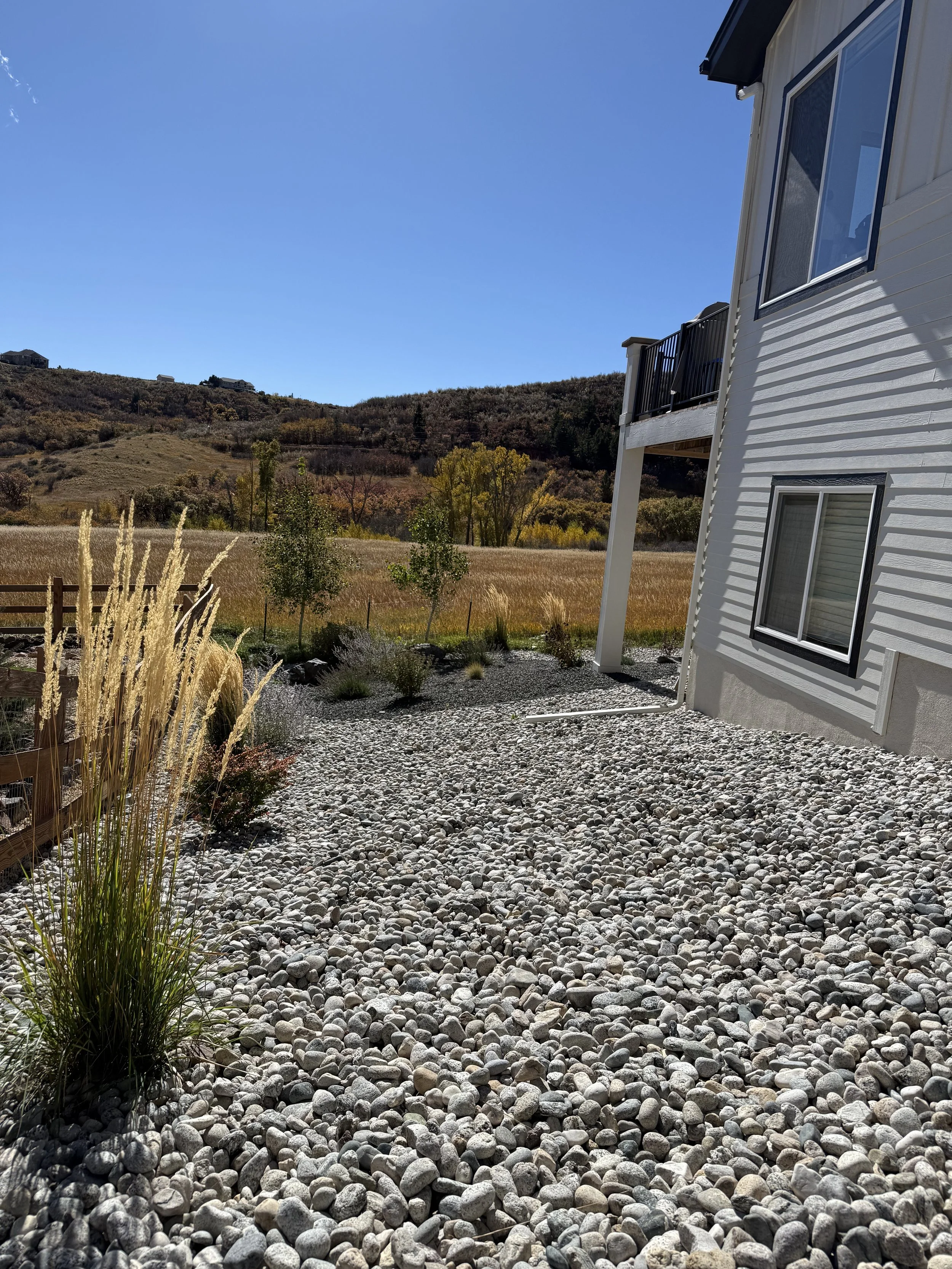 A backyard with a gravel ground, some ornamental grasses, trees, and hills in the background under a clear blue sky.