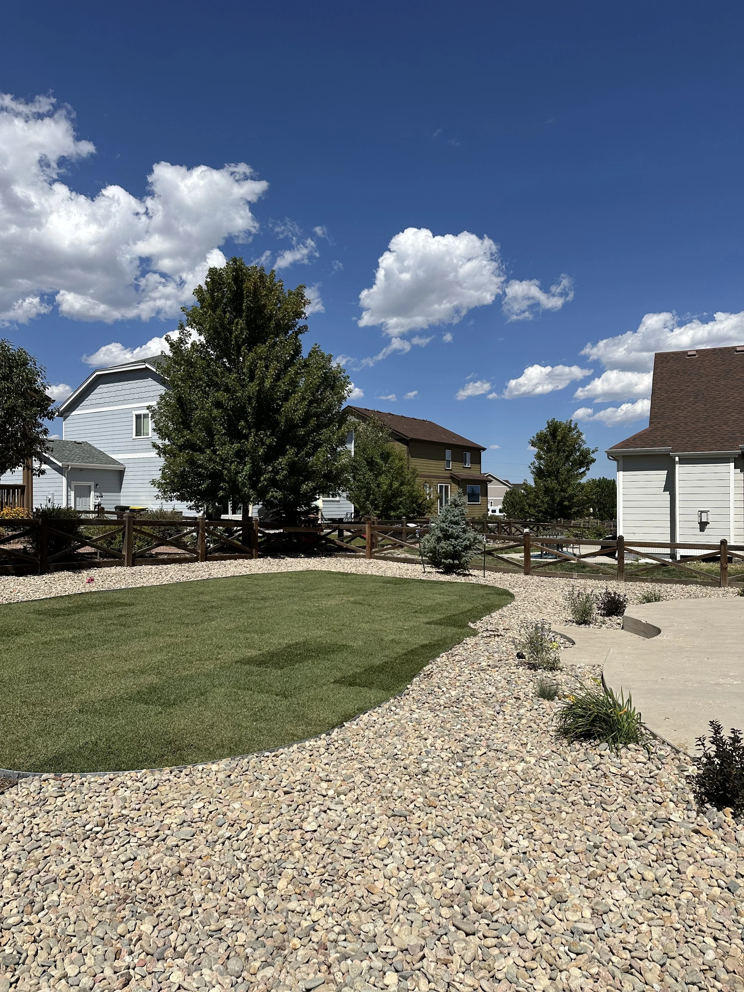 A suburban backyard with a well-maintained lawn, decorative rocks, and several trees and small plants. Residential houses with different colored exteriors are visible in the background under a bright blue sky with scattered white clouds.