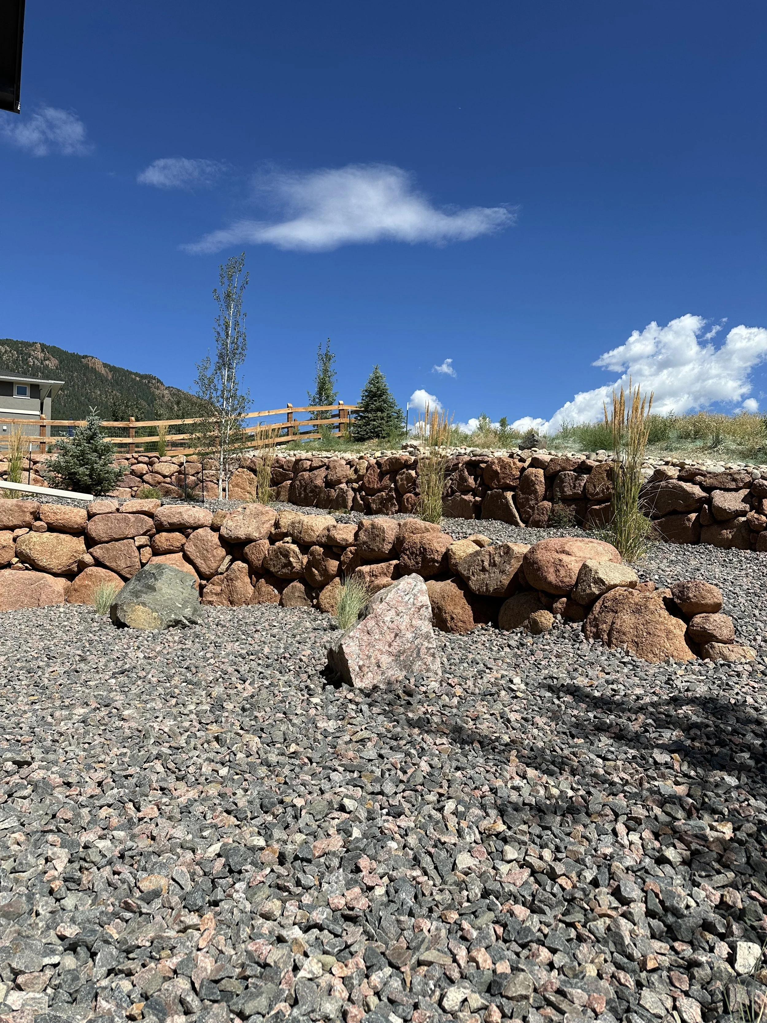 A landscaped yard with layers of rock walls, small trees, and shrubs under a blue sky with some clouds. In the background, there's a house and a mountain.
