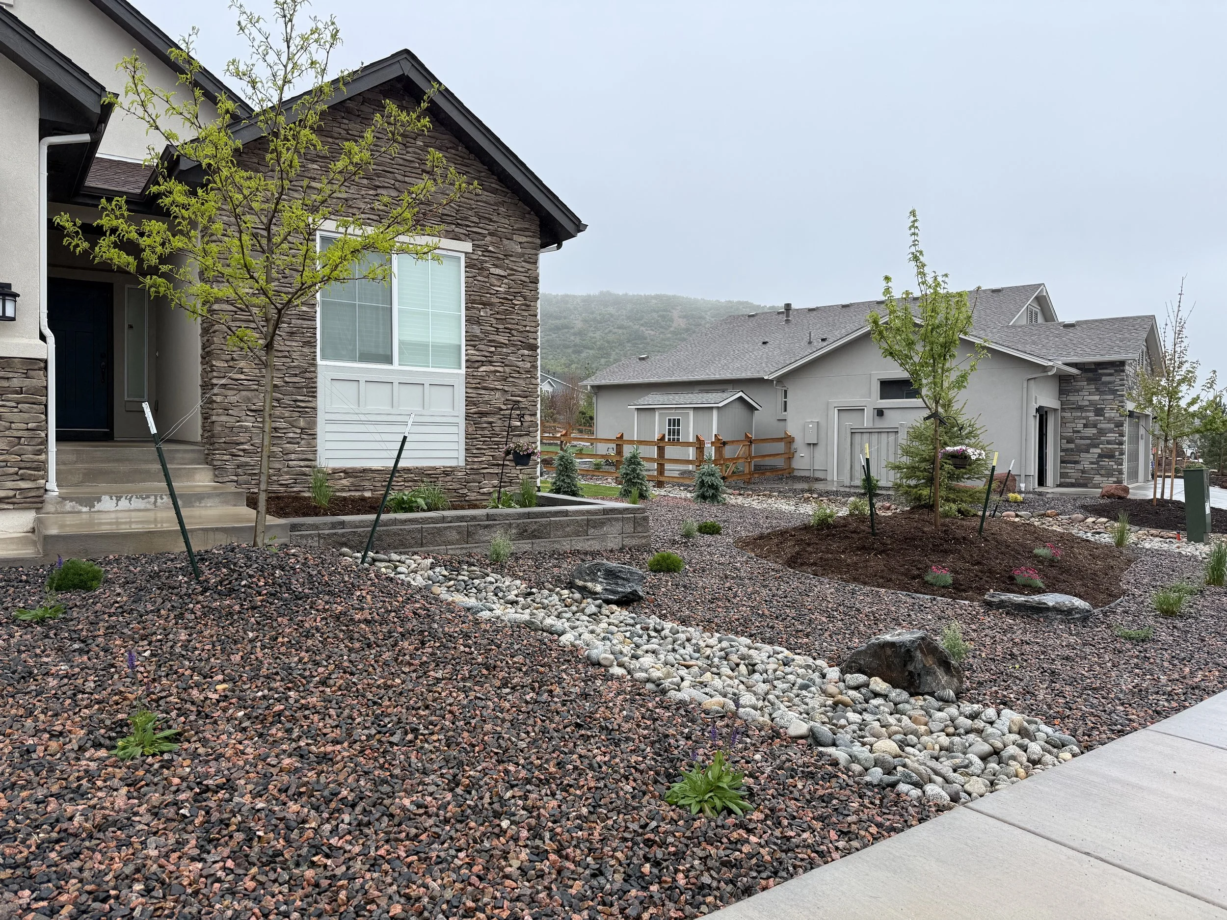 A landscaped front yard with drought-tolerant plants, small trees, rocks, and mulch in front of modern houses with stone and siding exterior.