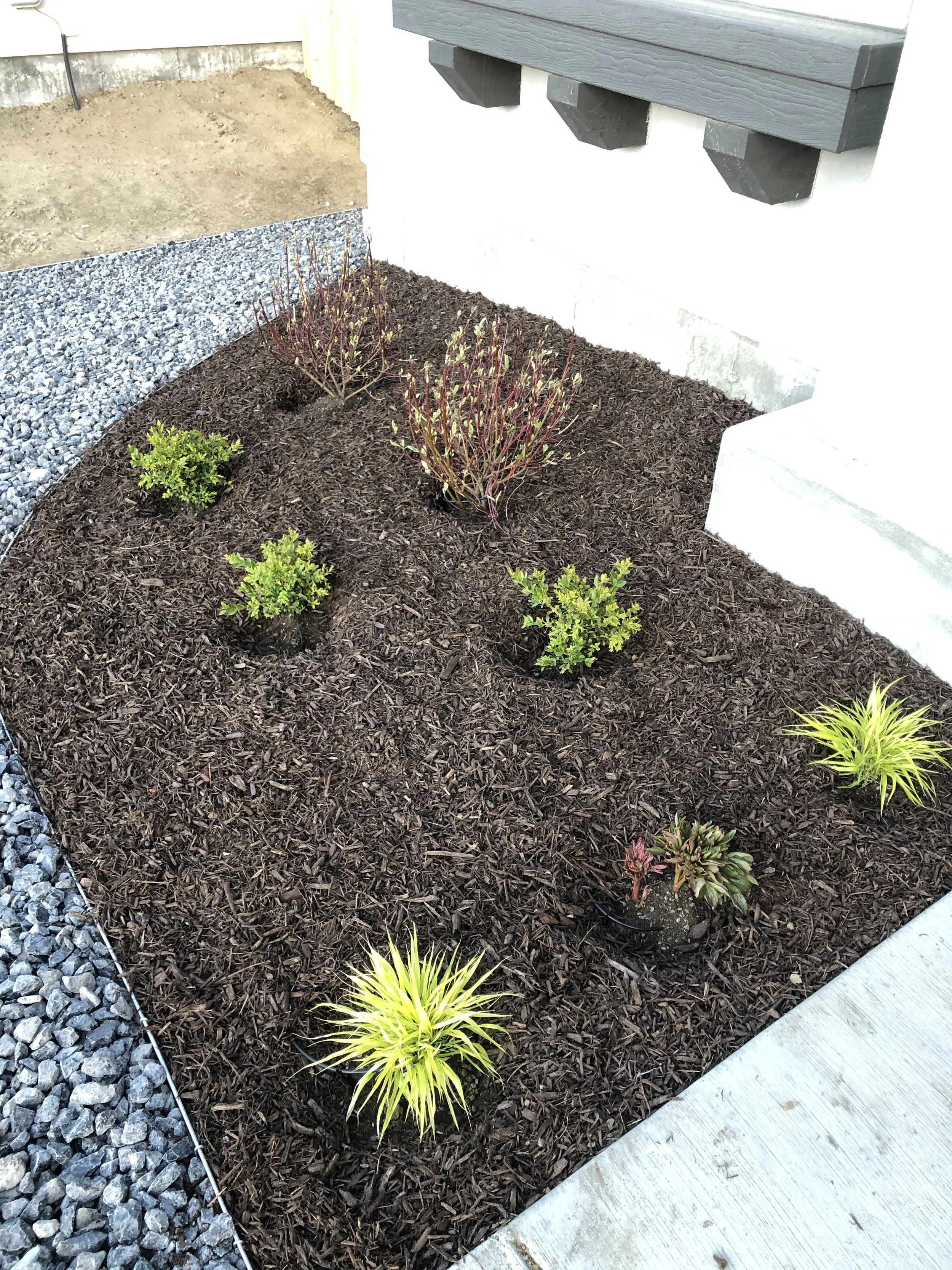 A landscaped garden bed with mulch, small green shrubs, and ornamental grasses, located next to a gray concrete walkway and a white wall with decorative gray wood beams.
