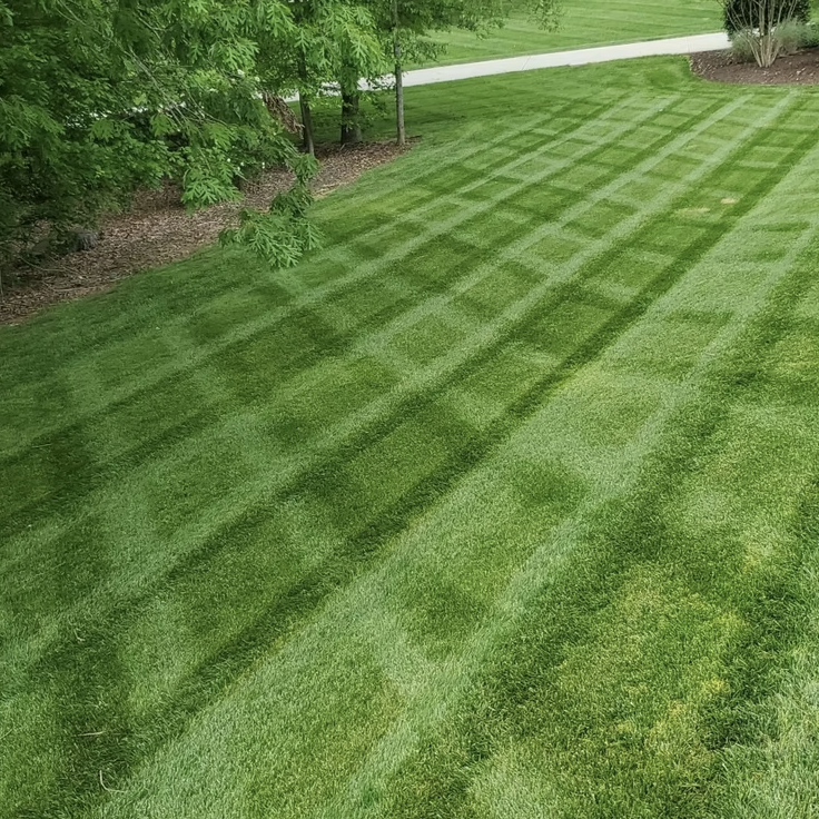 Well-maintained backyard lawn with visible mowing lines, trees, and a pathway.