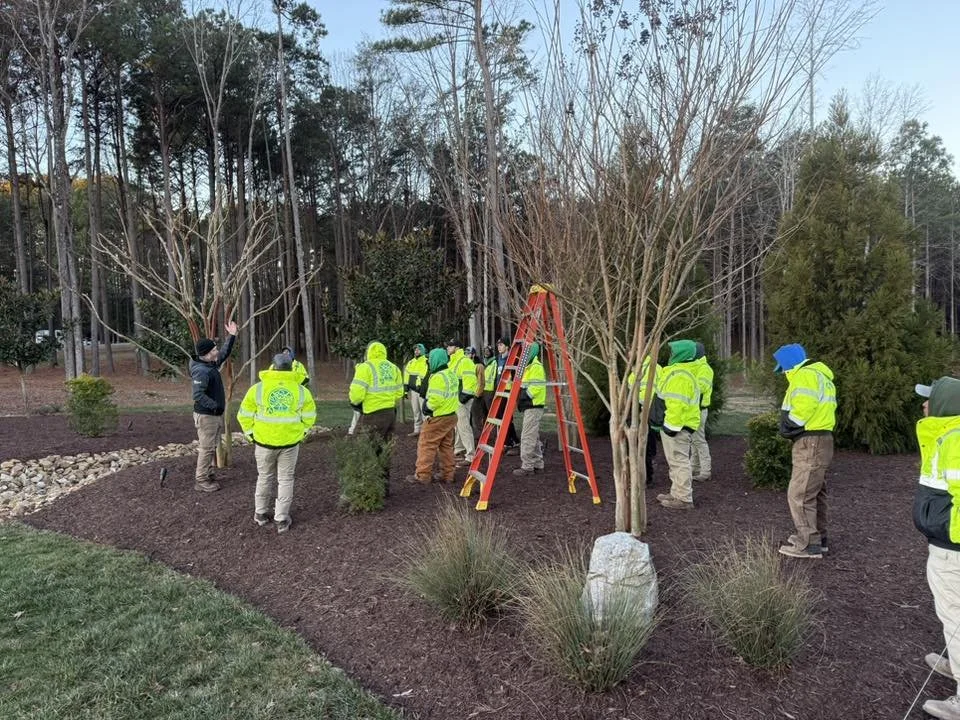 Anderson Outdoor Solutions training day for employees.