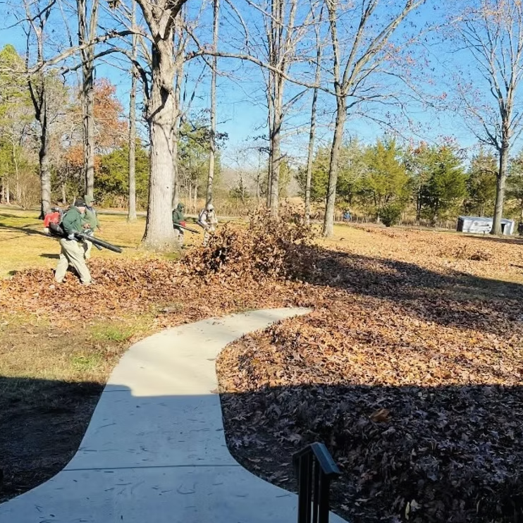 People using leaf blowers to clear fallen leaves in a park on a sunny day with leafless trees.
