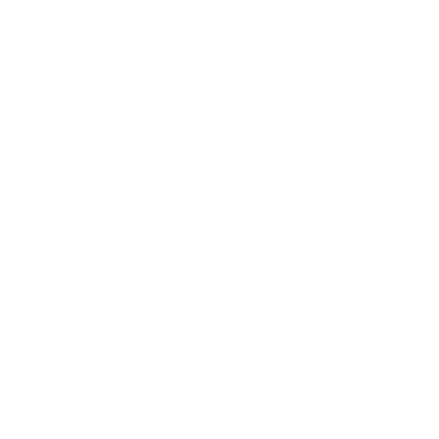 White brick pattern inside a circle on a black background.