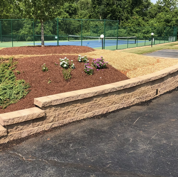 Well-maintained flower bed with white and pink flowers, bordered by a brick wall, adjacent to a paved parking lot and behind a tennis court surrounded by green fencing and trees.