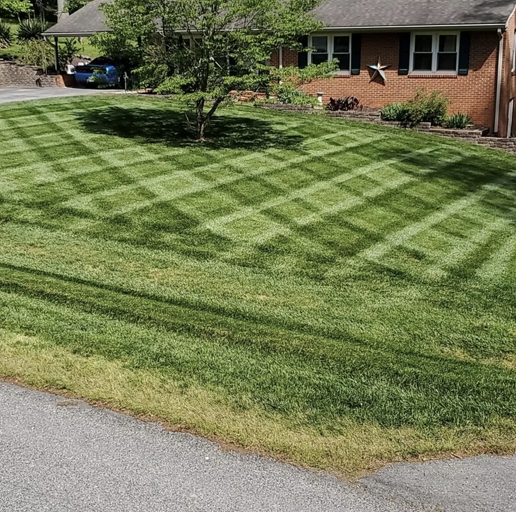 A well-maintained front yard with a neatly mowed grass lawn showing a checkerboard pattern. There's a brick house in the background with a star decoration on the wall and a small garden with plants and shrubs in front of it. A tree stands near the ce