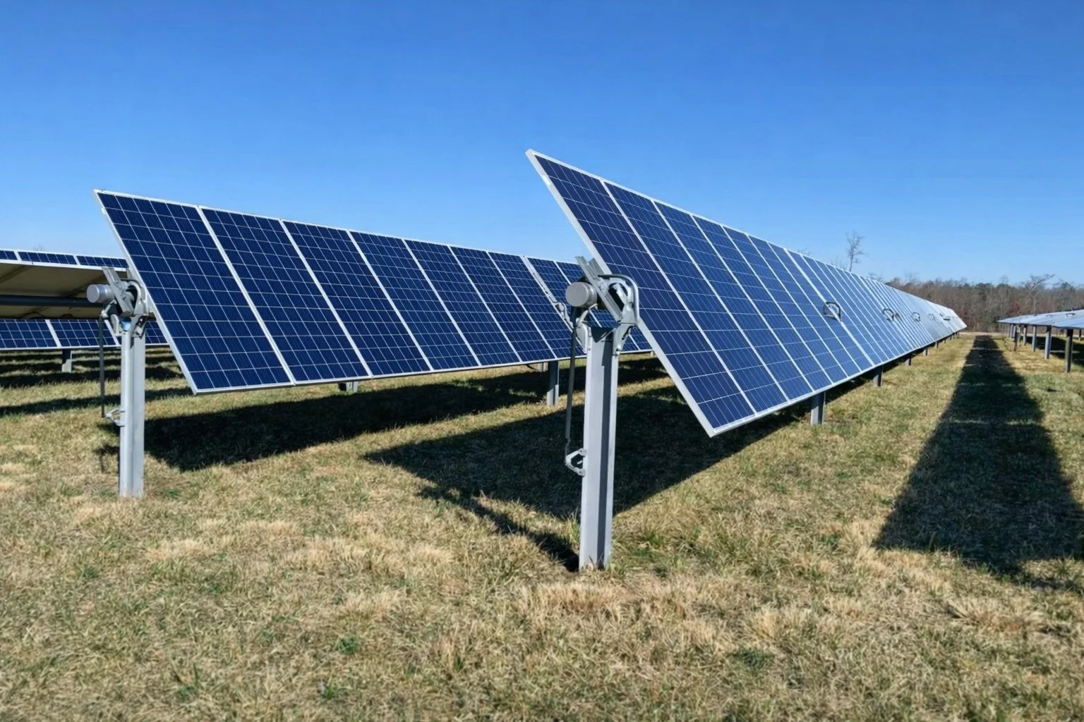 Multiple rows of blue solar panels installed on a grassy field under a clear blue sky.