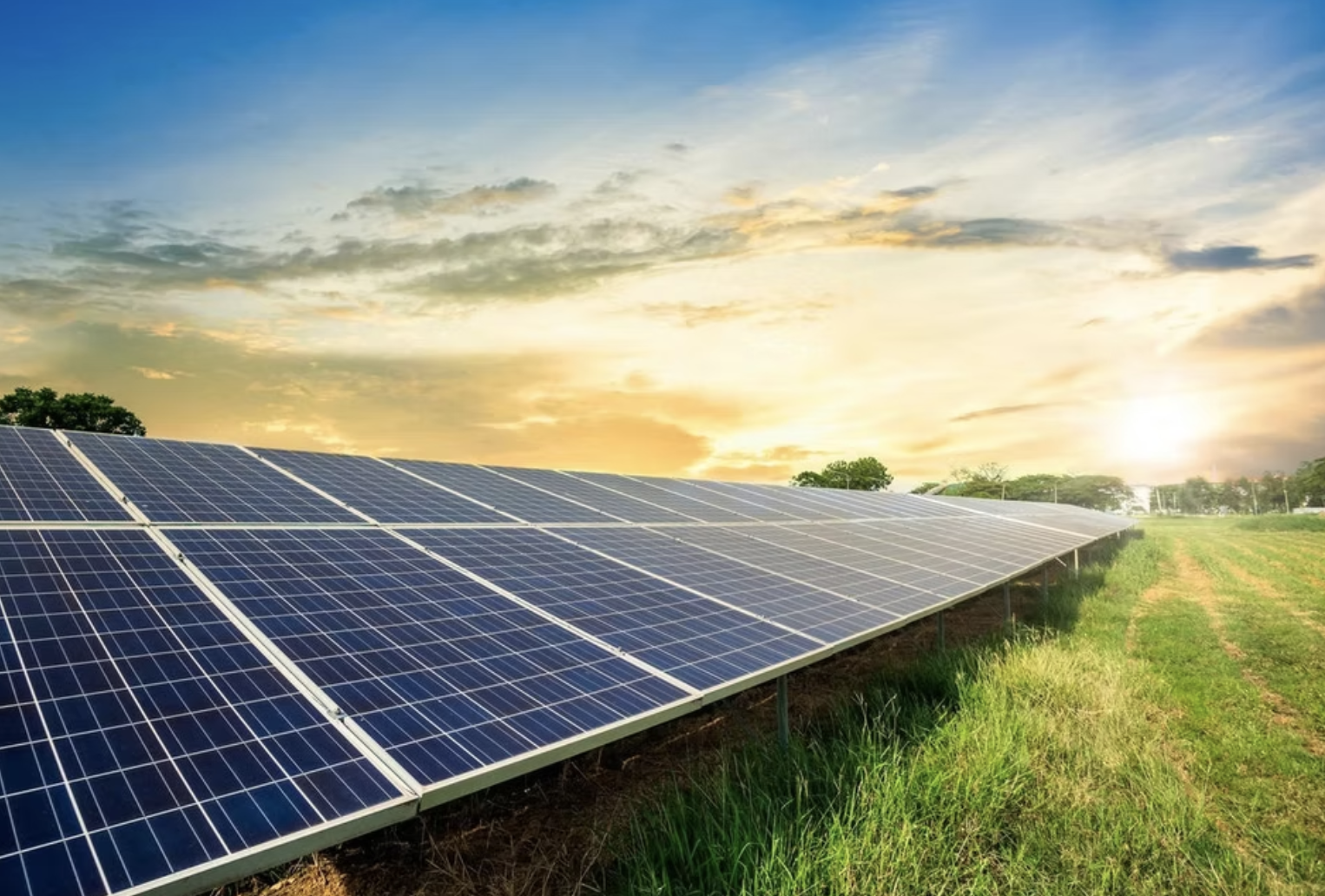 Solar panels installed on a grassy field during sunset.