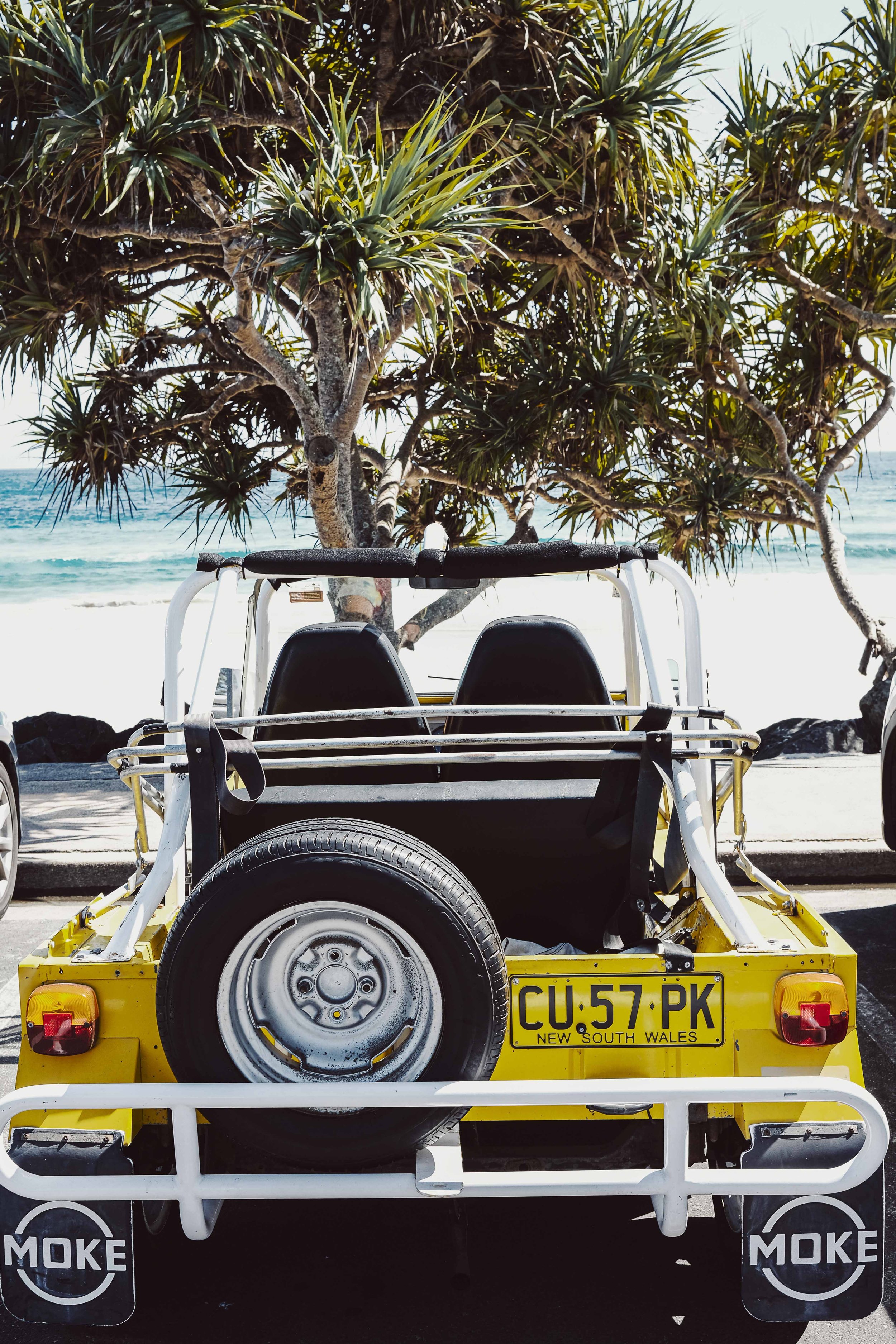 Summer23DSCF3266 copy2_websize.jpg